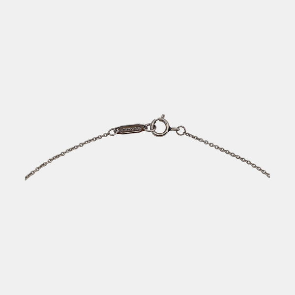 Tiffany Circlet Platinum 950 Silver Necklace