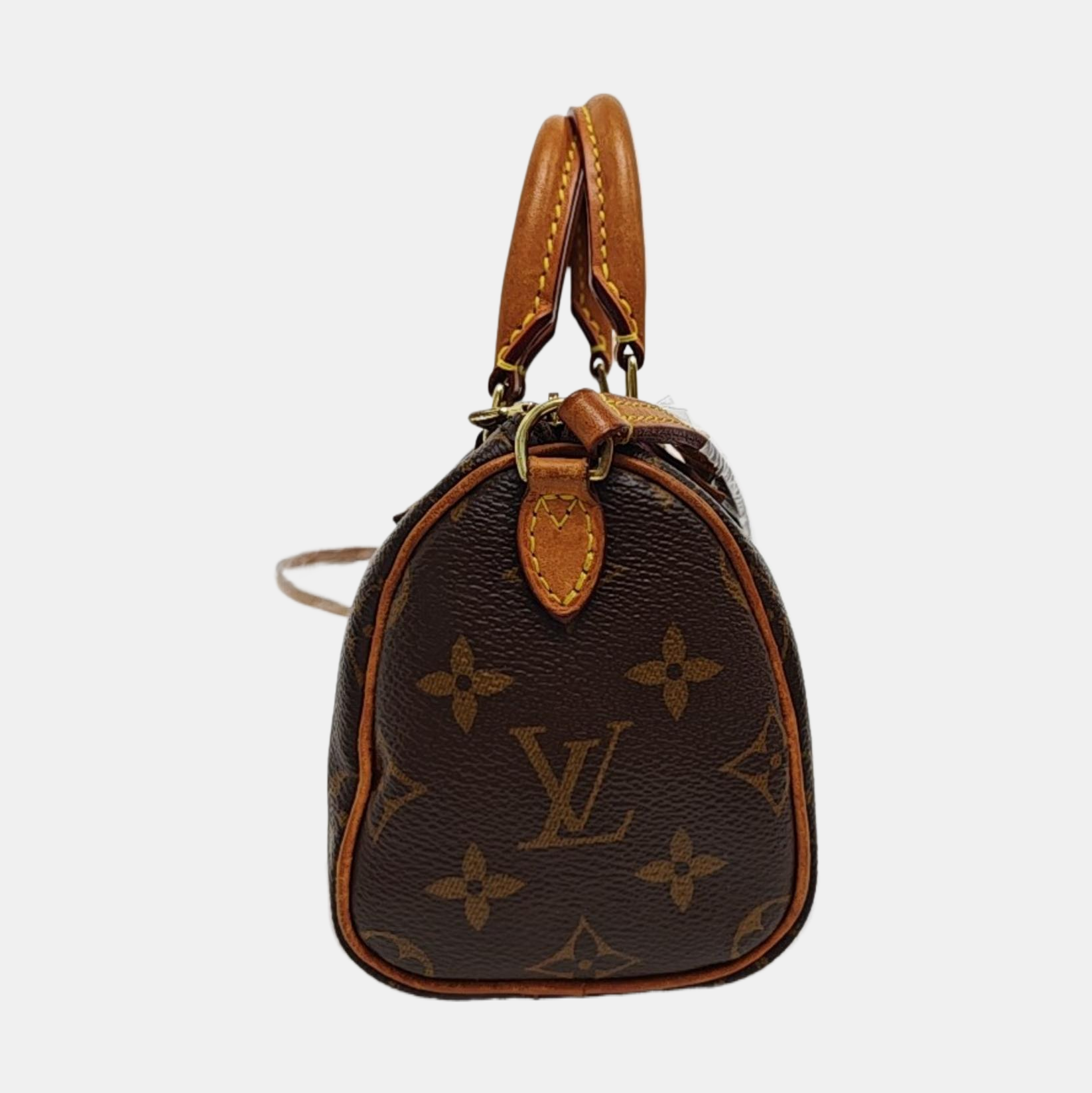 SPEEDY Nano Monogram Coated Canvas Brown