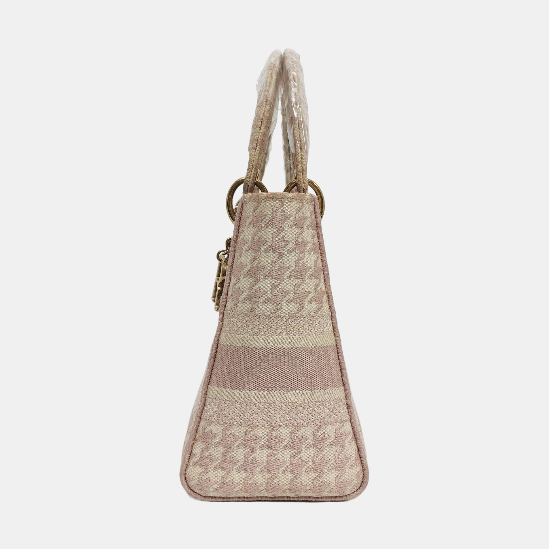 Authenticated pre-owned  Lady D-Lite Medium Fabric Multicolor - Tote Bag at Looply