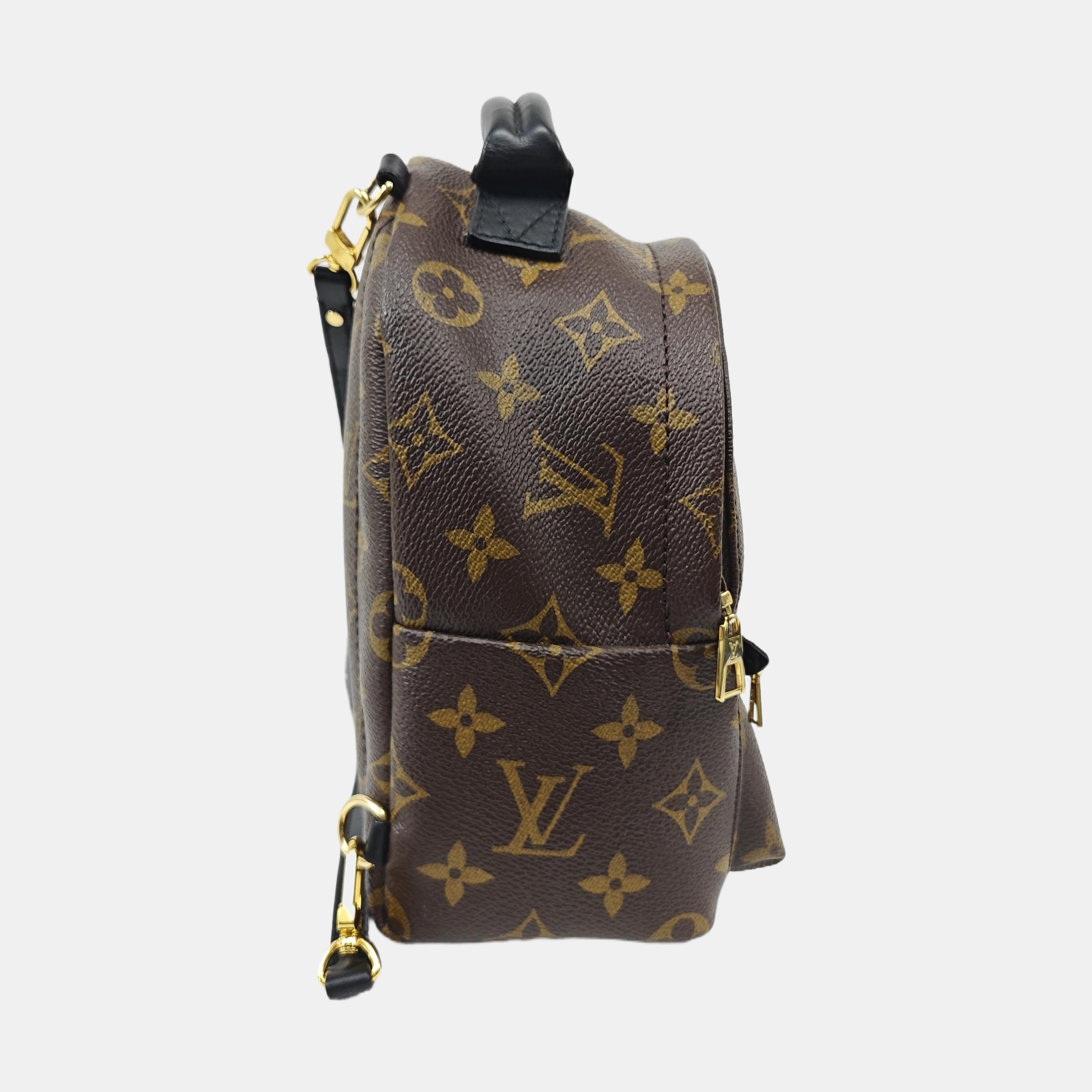 PALM SPRINGS Mini Monogram Coated Canvas Brown