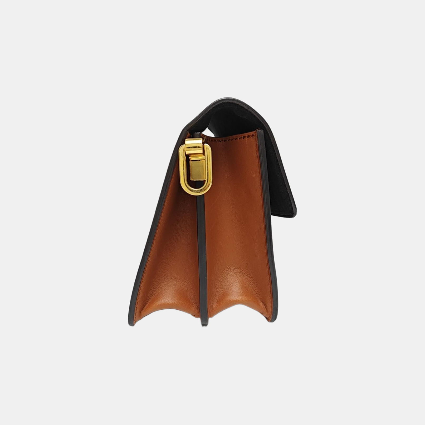DAUPHINE Mini Monogram Coated Canvas Brown