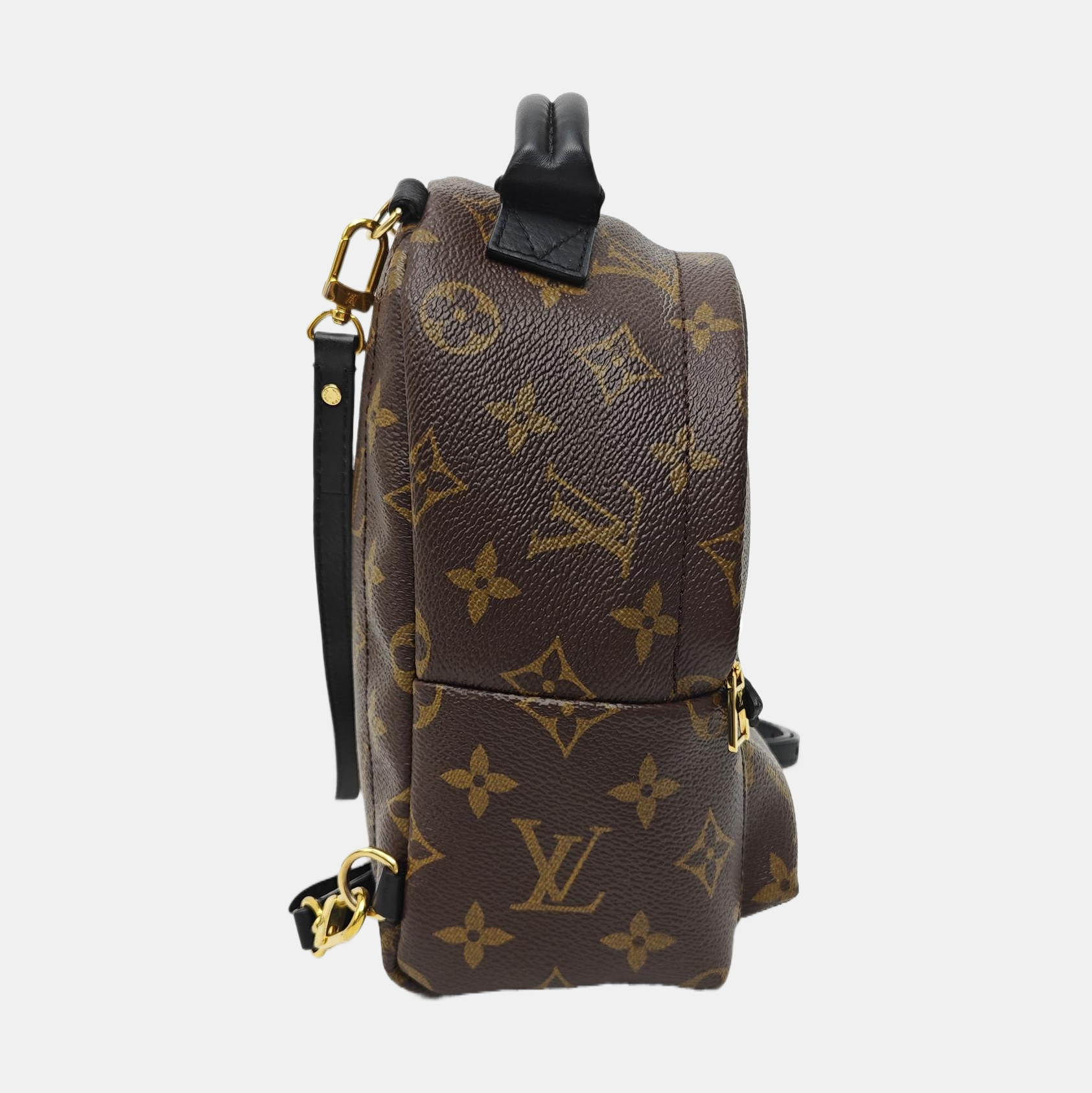 PALM SPRINGS Mini Monogram Coated Canvas Brown