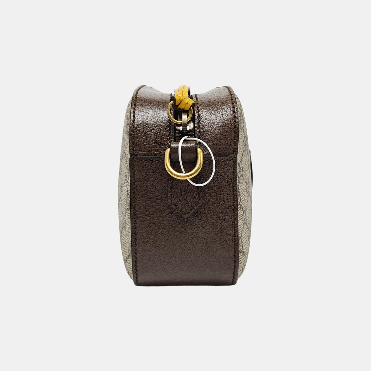 Neo Vintage Monogram Coated Canvas Beige