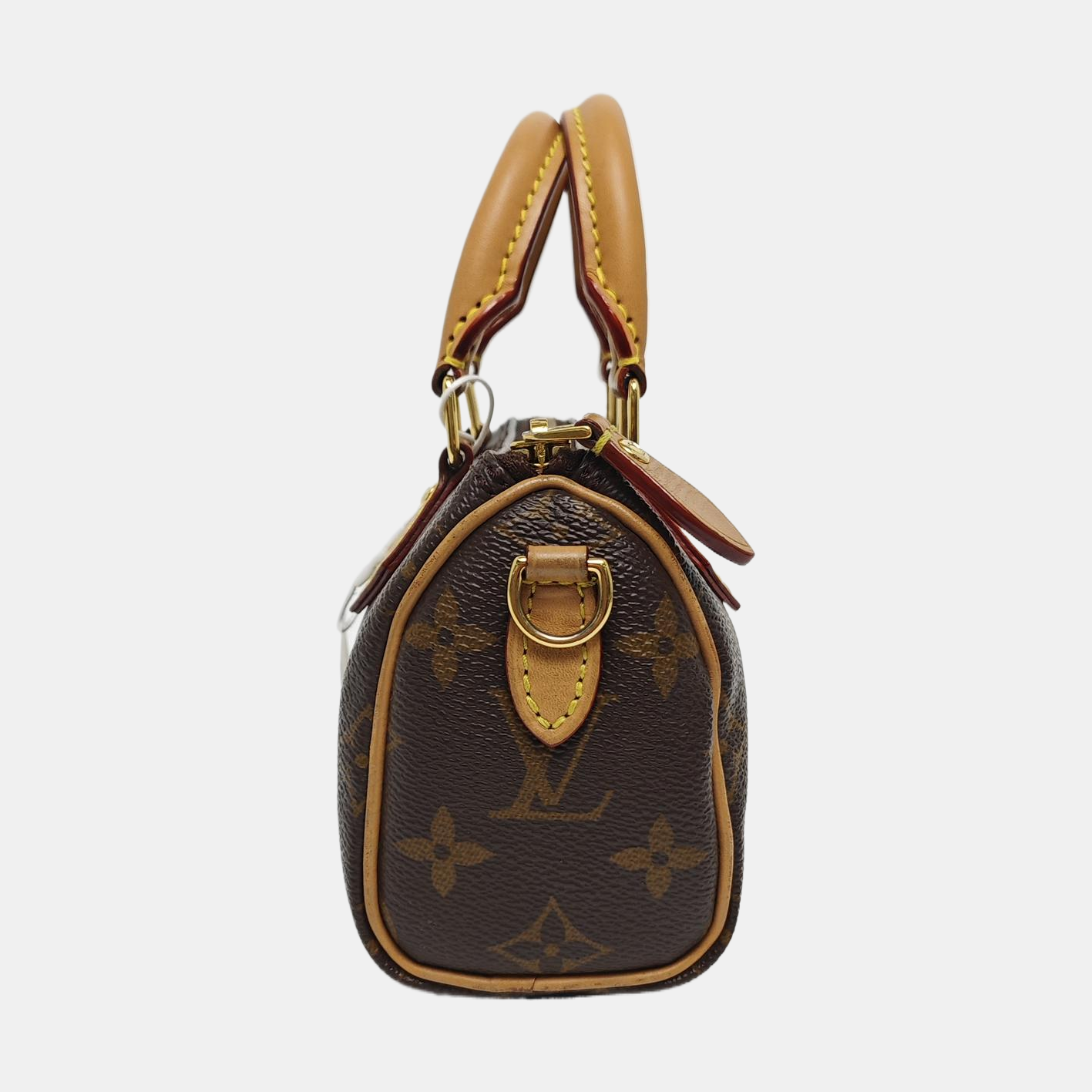 SPEEDY Nano Monogram Coated Canvas Brown