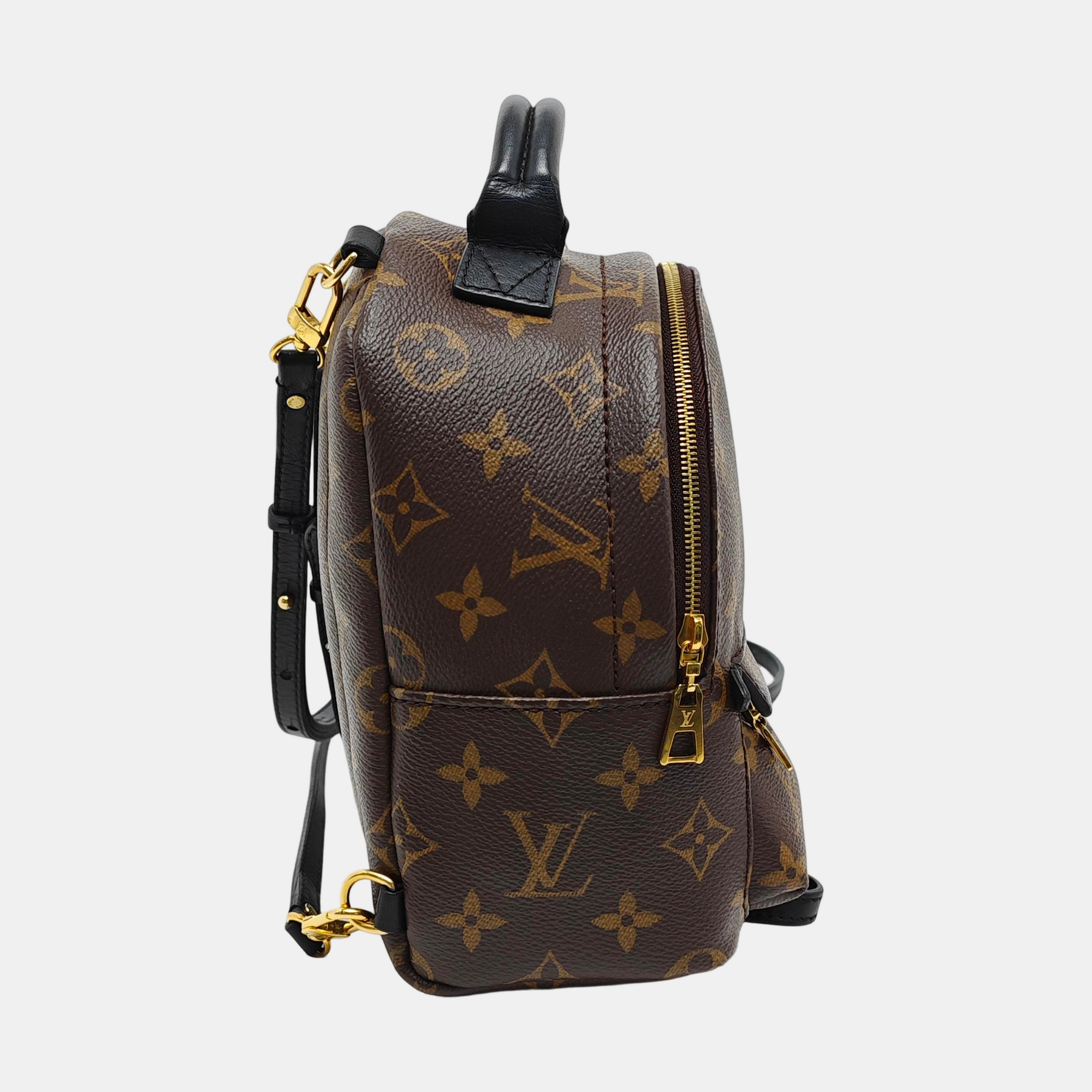 PALM SPRINGS Mini Monogram Coated Canvas Brown