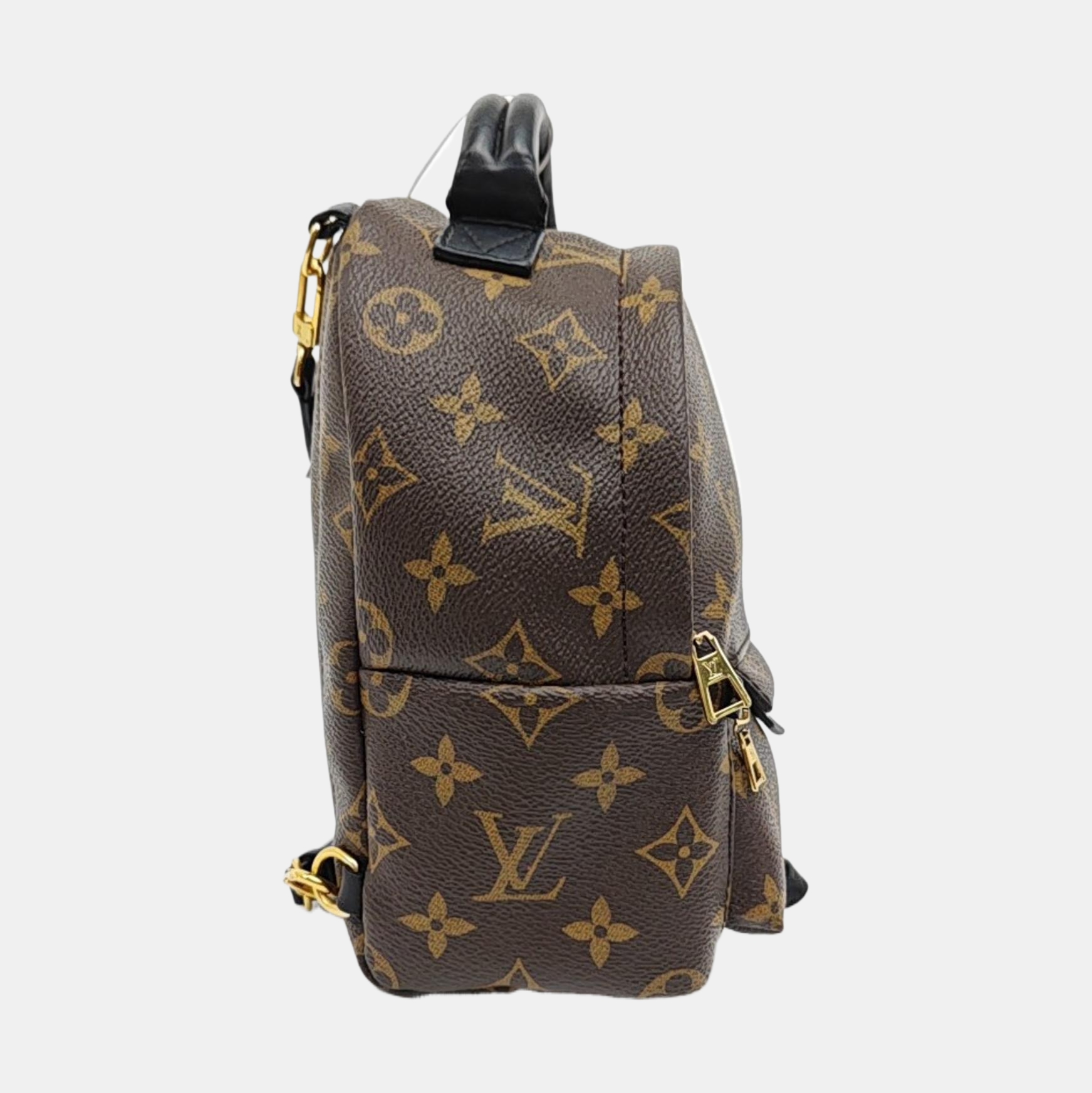 PALM SPRINGS Mini Monogram Coated Canvas Brown