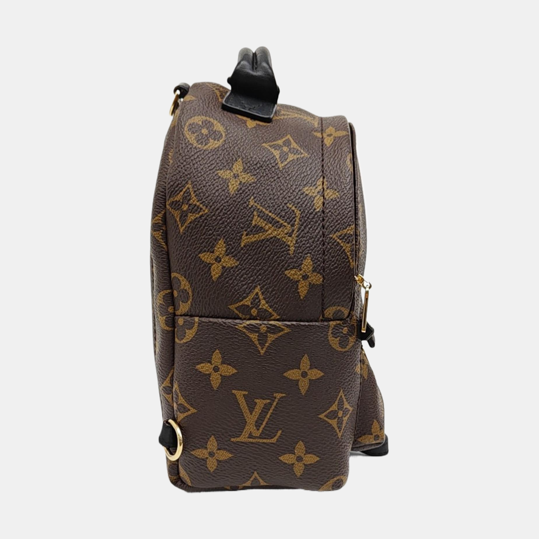 PALM SPRINGS Mini Monogram Coated Canvas Brown