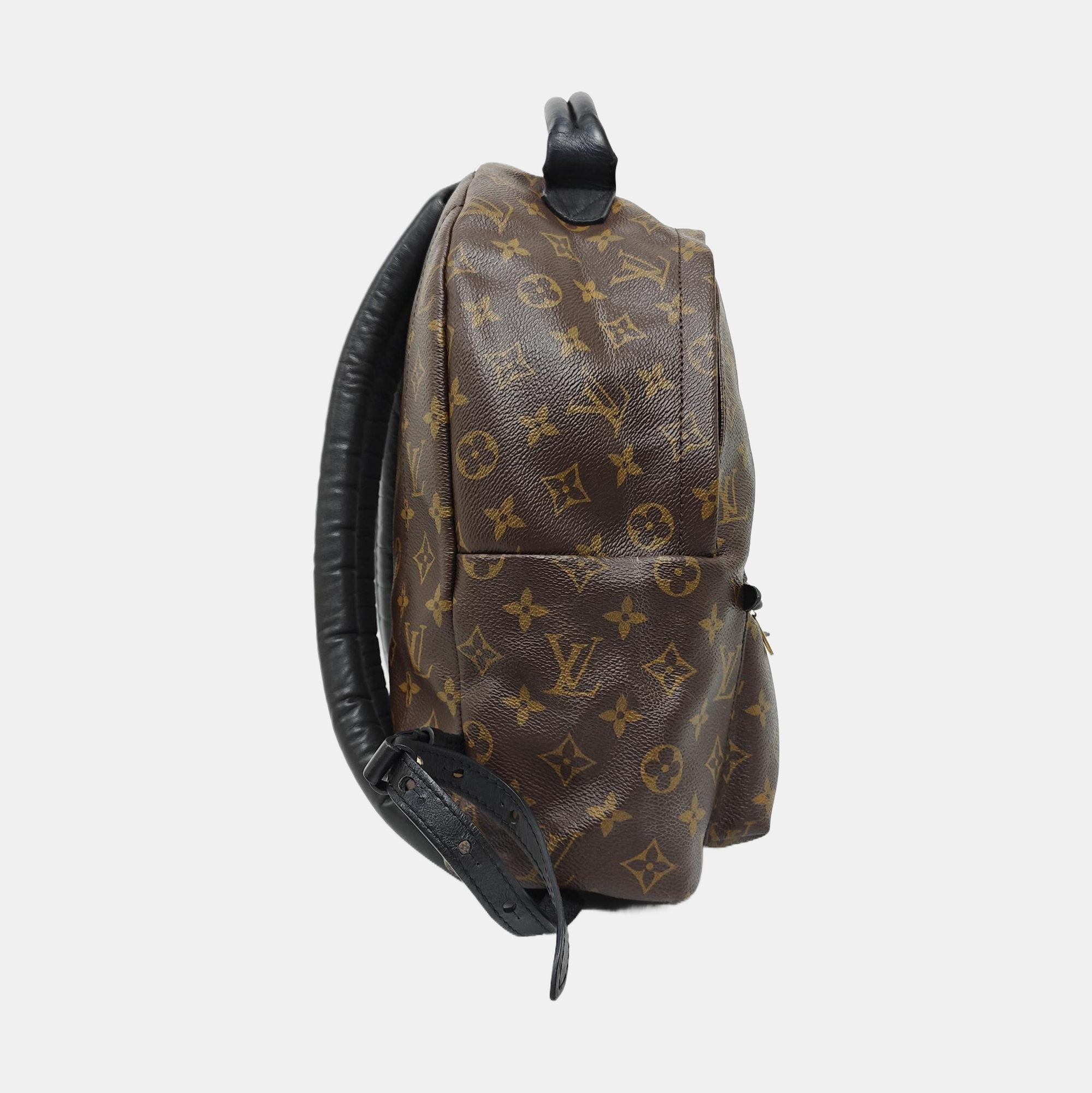 PALM SPRINGS MM Monogram Coated Canvas Brown