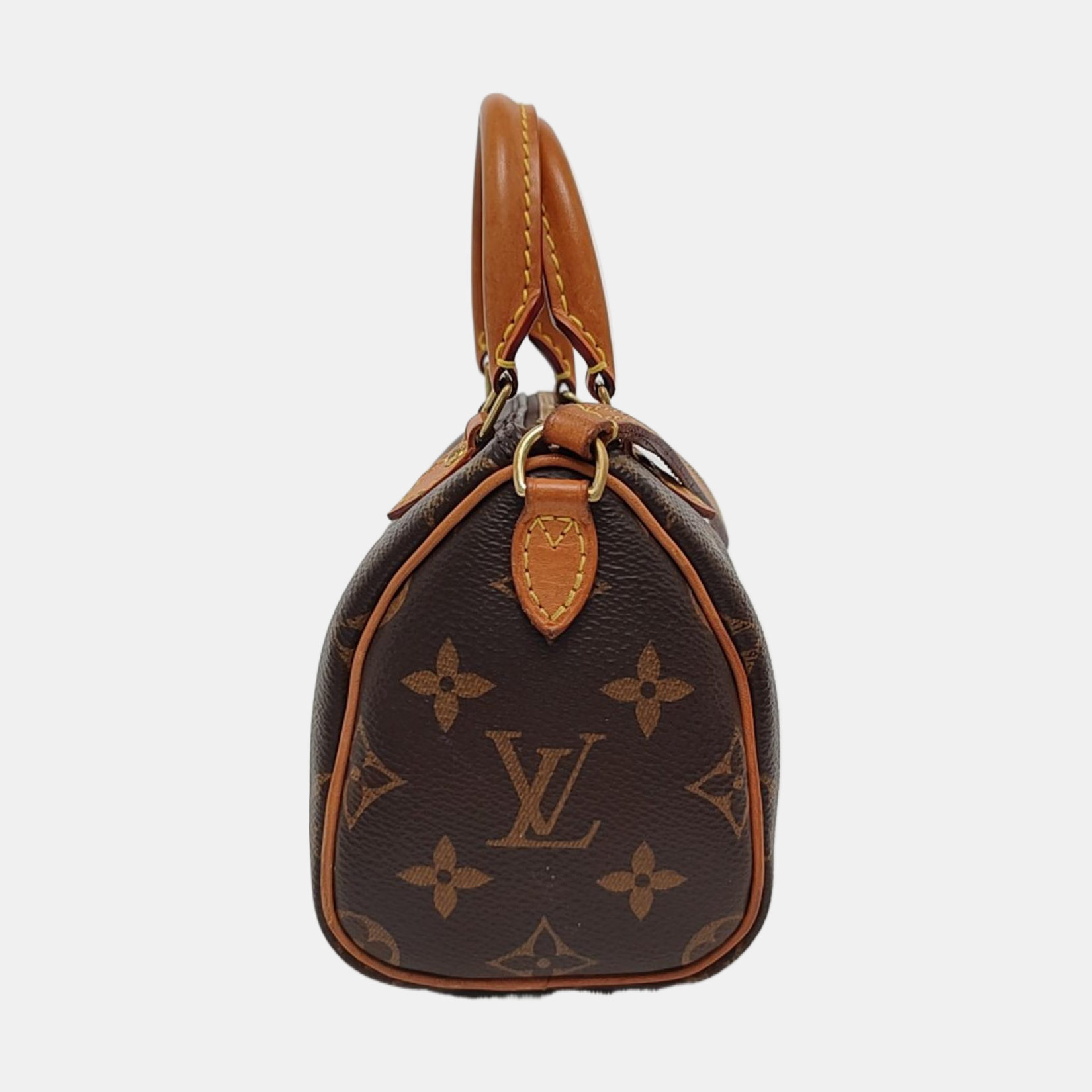 SPEEDY Nano Monogram Coated Canvas Brown