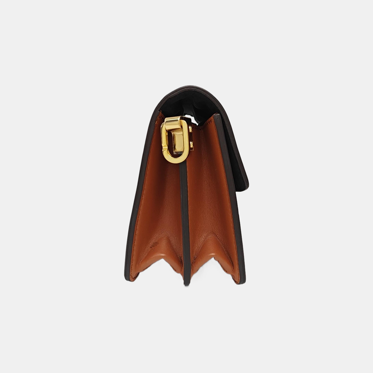 DAUPHINE Mini Monogram Coated Canvas Brown