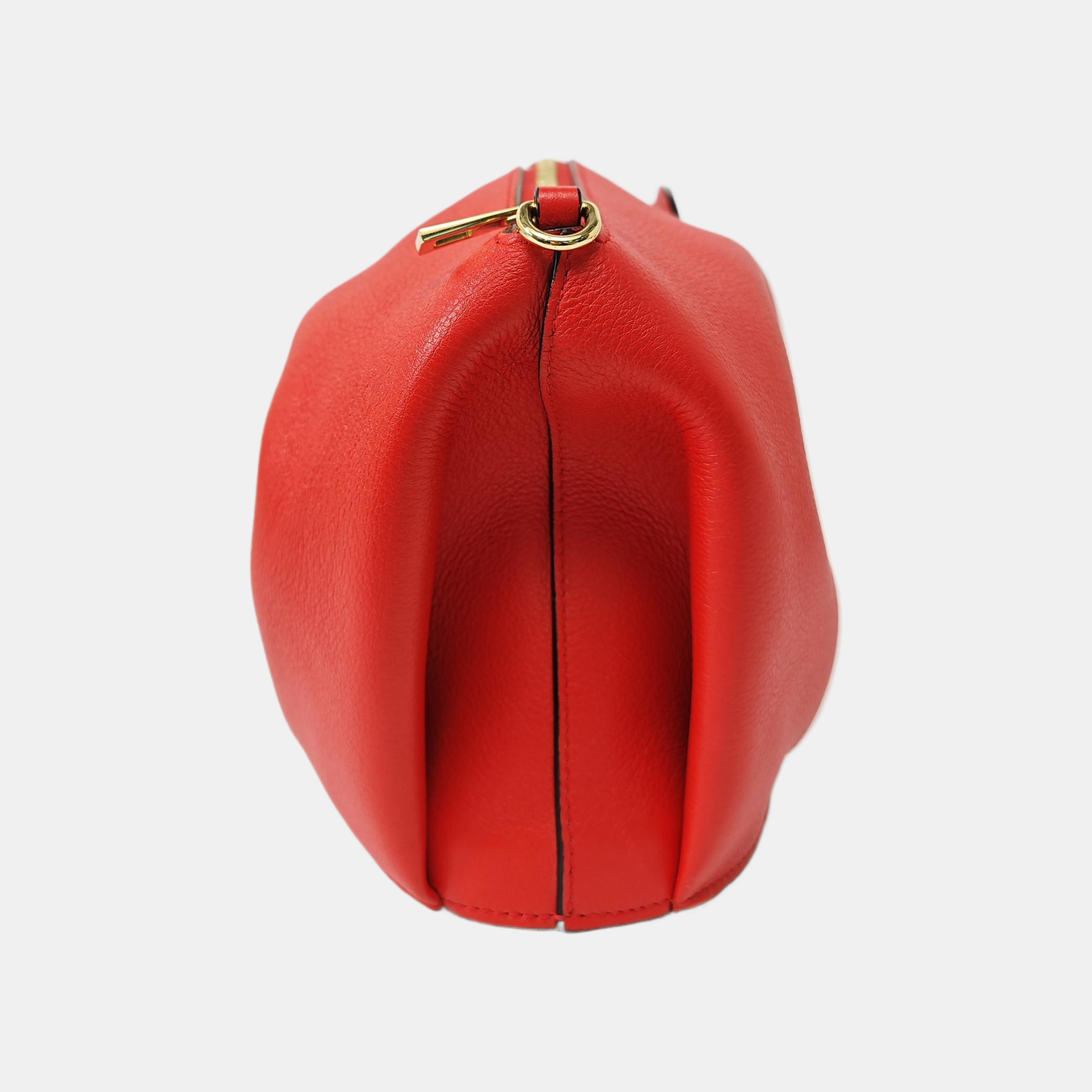 Animals Calfskin Red
