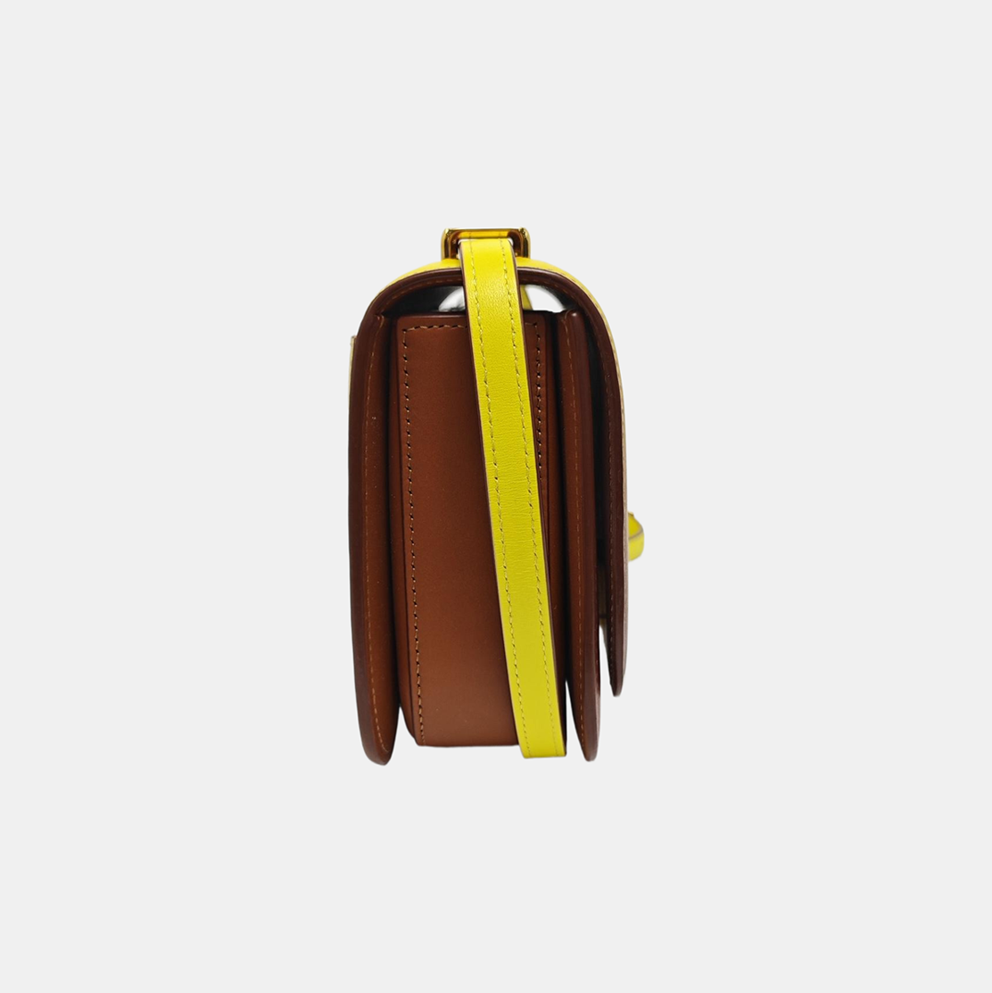 Goya Small Calfskin Multicolor