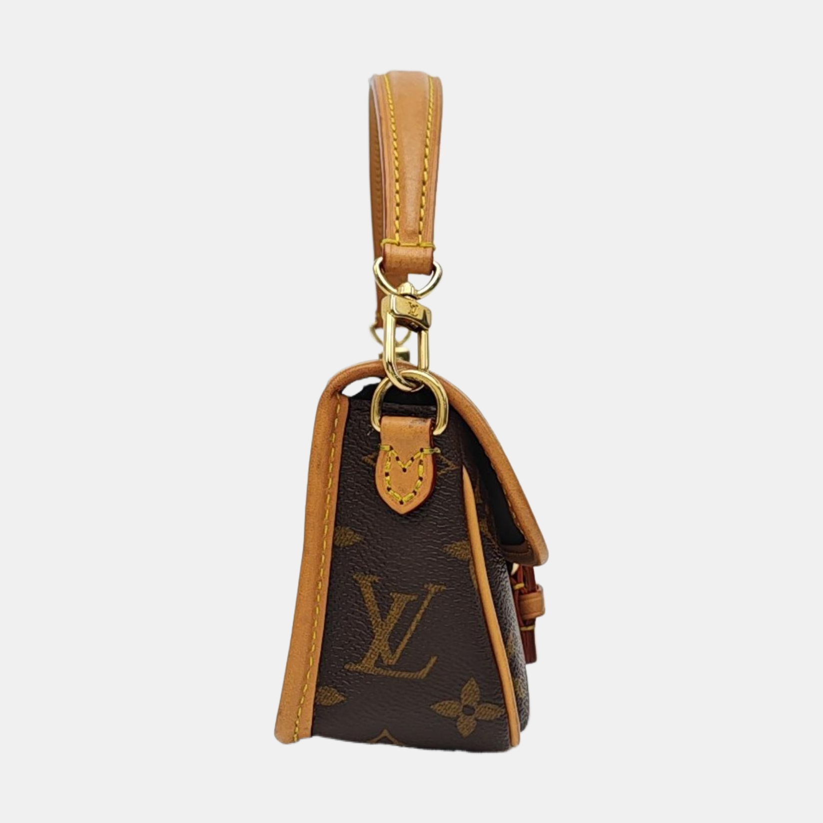DIANE Nano Monogram Coated Canvas Brown