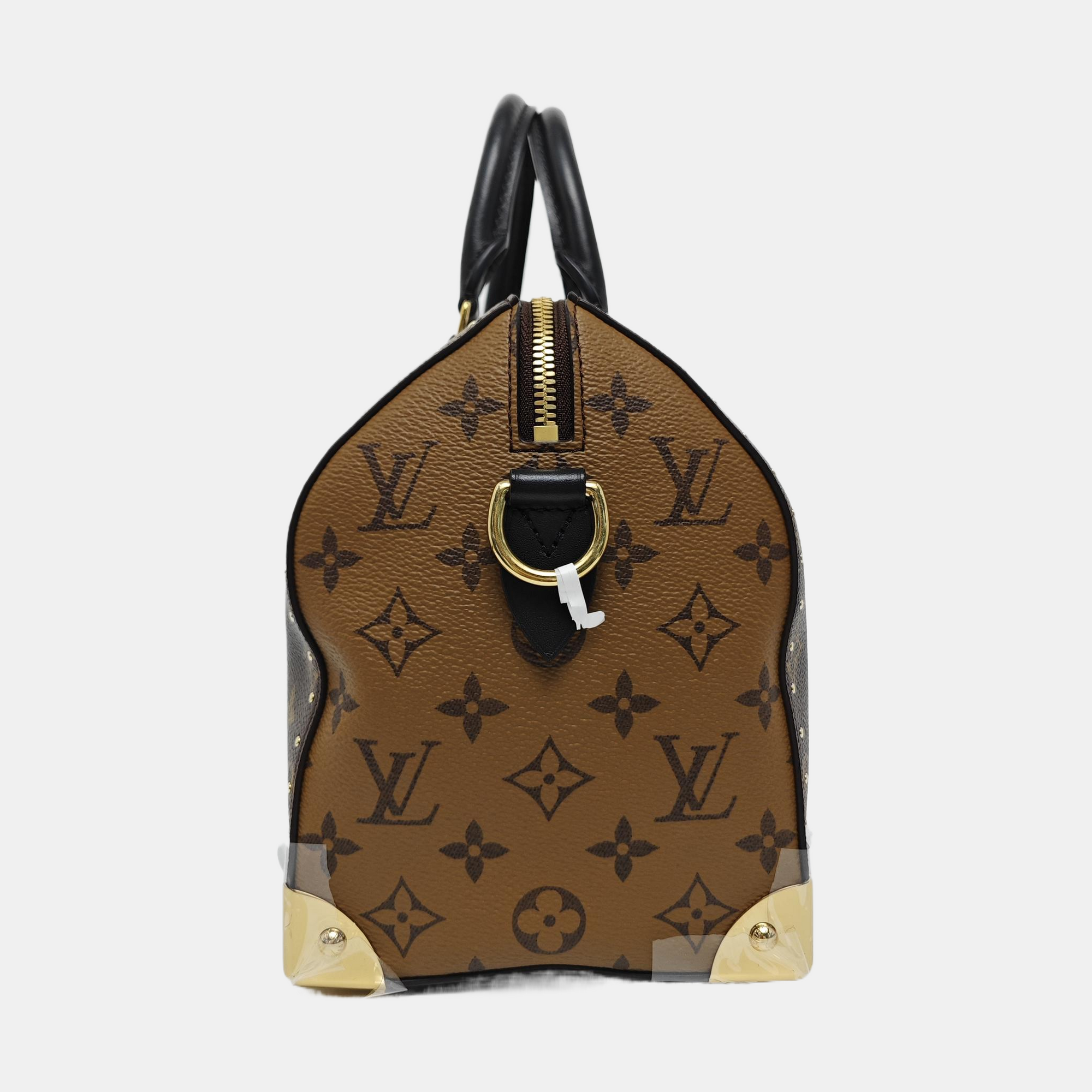 SPEEDY 25 Monogram Coated Canvas Brown
