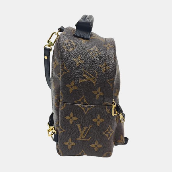 PALM SPRINGS Mini Monogram Coated Canvas Brown