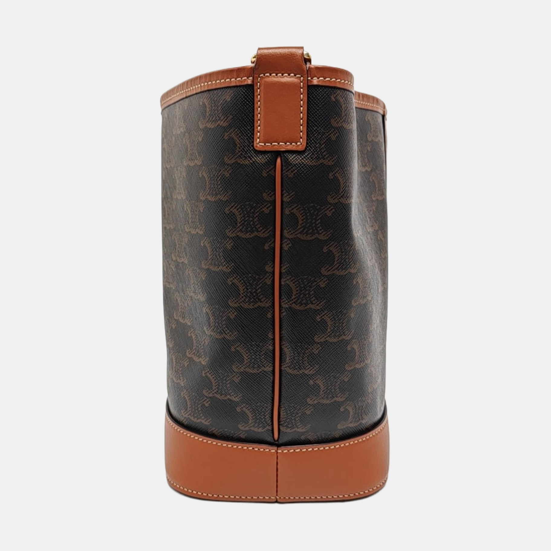 TRIOMPHE CANVAS Small Coated Canvas Brown