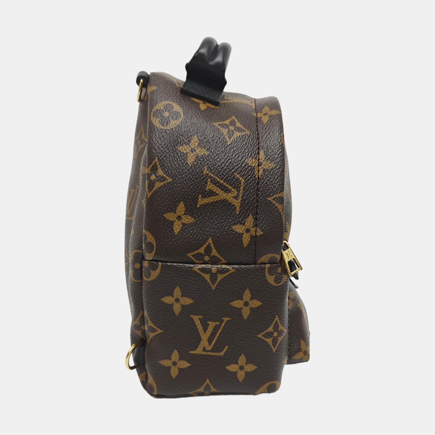 PALM SPRINGS Mini Monogram Coated Canvas Brown