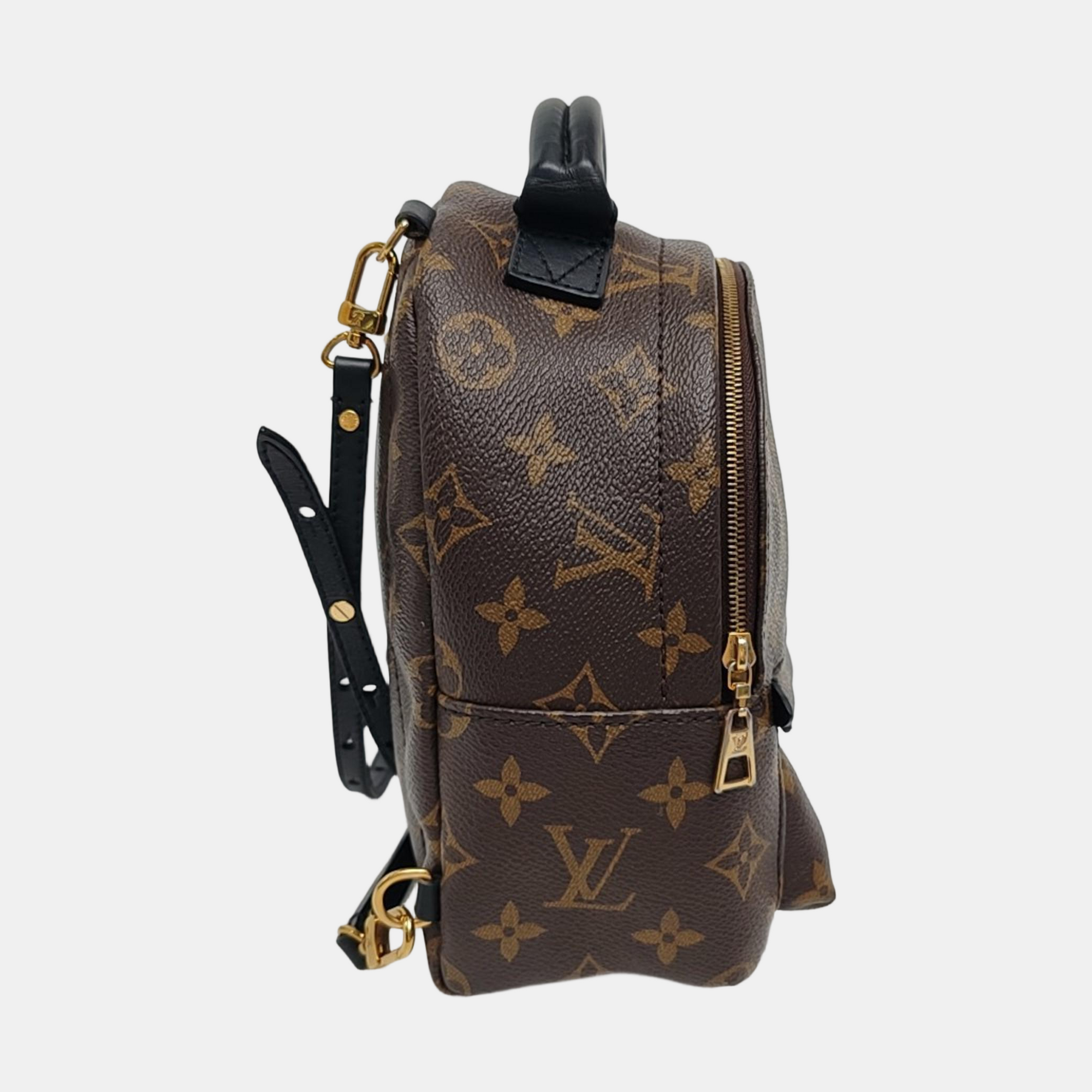 PALM SPRINGS Mini Monogram Coated Canvas Brown