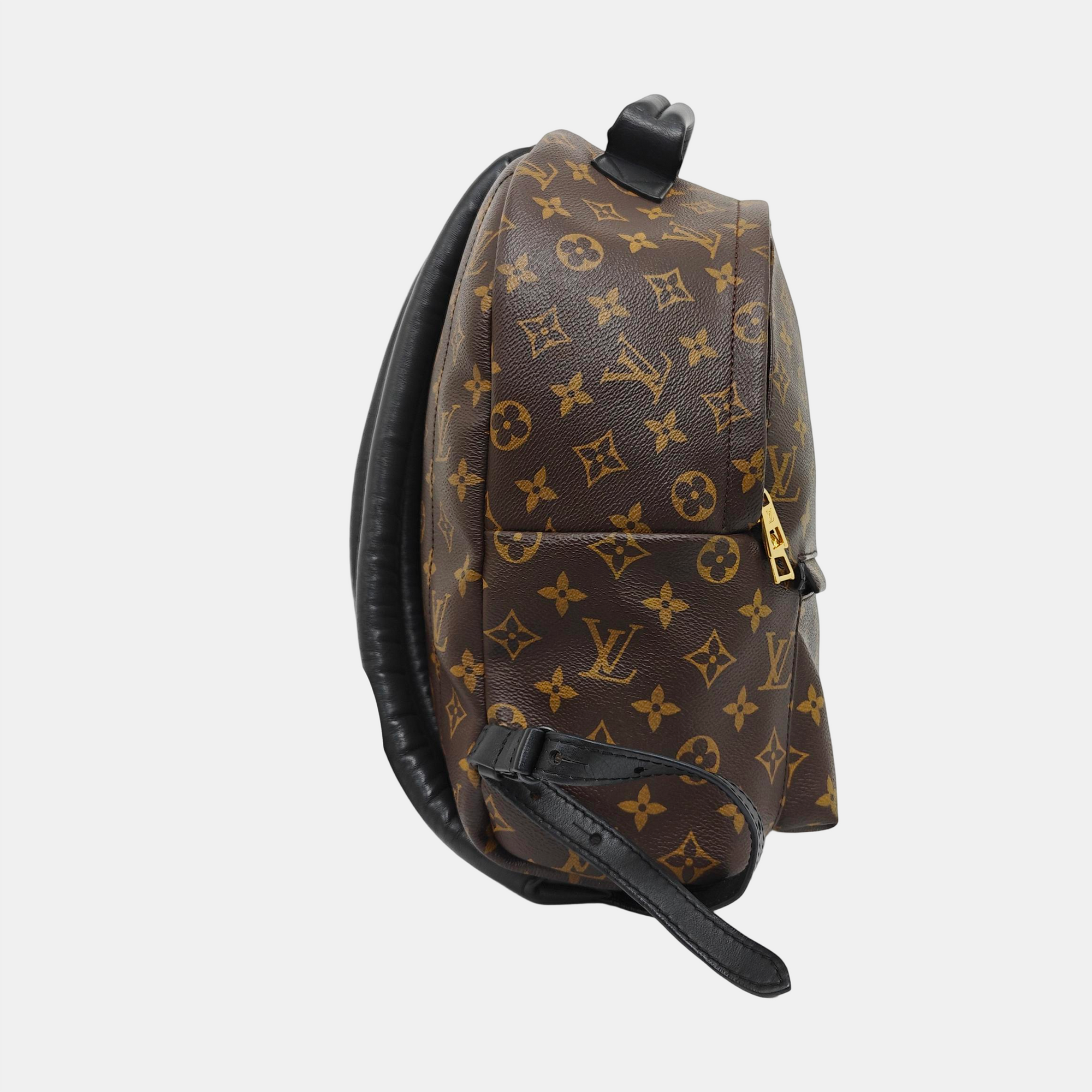 PALM SPRINGS MM Monogram Coated Canvas Brown