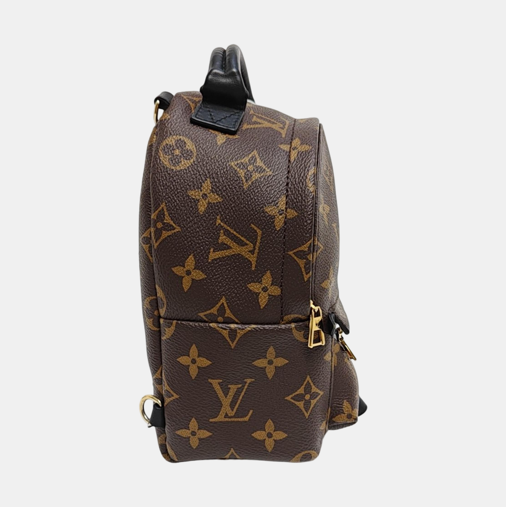 PALM SPRINGS Mini Monogram Coated Canvas Brown