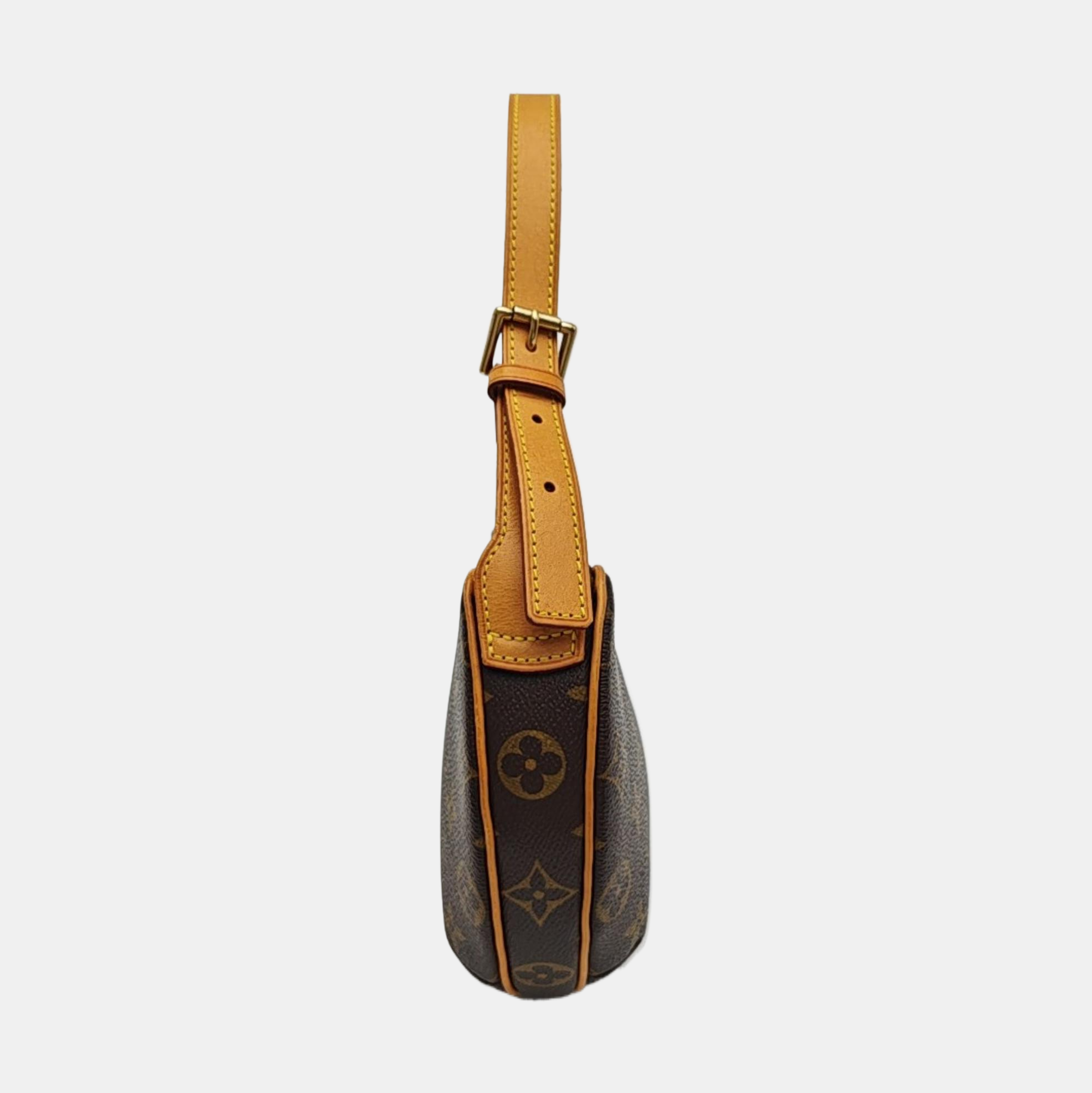 CROISSANT PM Monogram Coated Canvas Brown