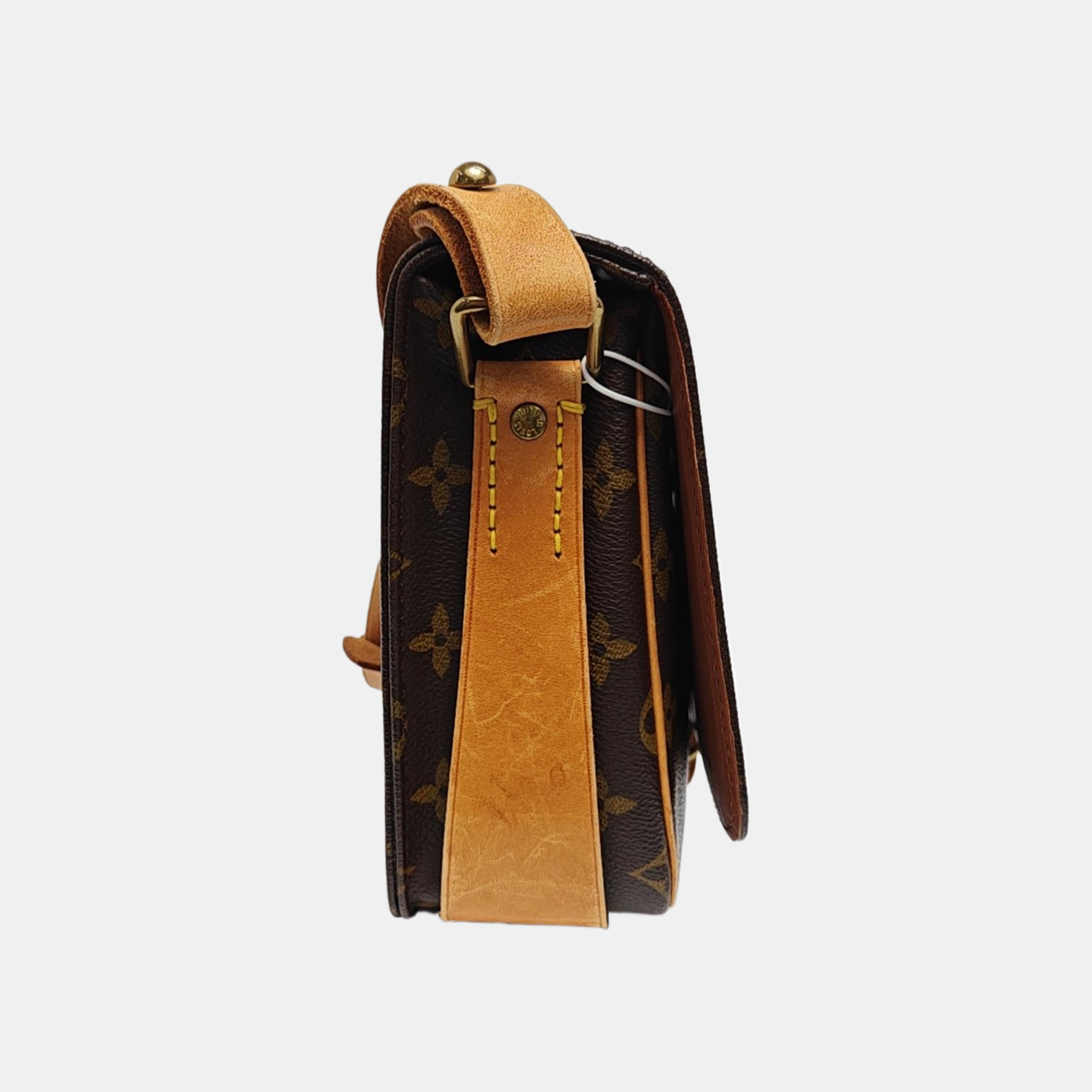 CARTOUCHIERE MM Monogram Coated Canvas Brown