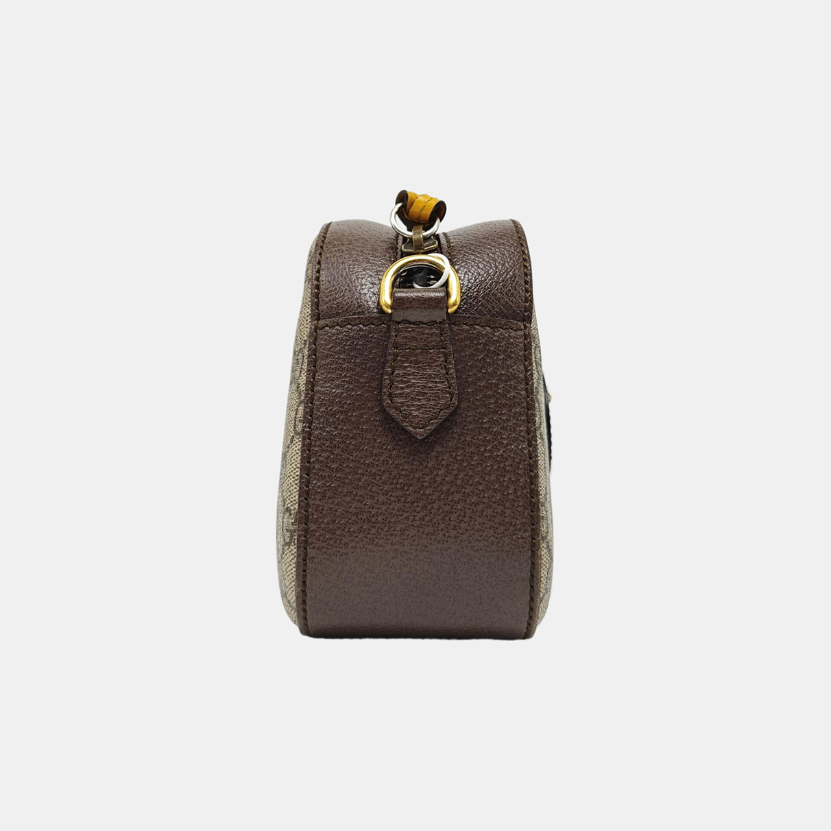 Neo Vintage Monogram Coated Canvas Beige
