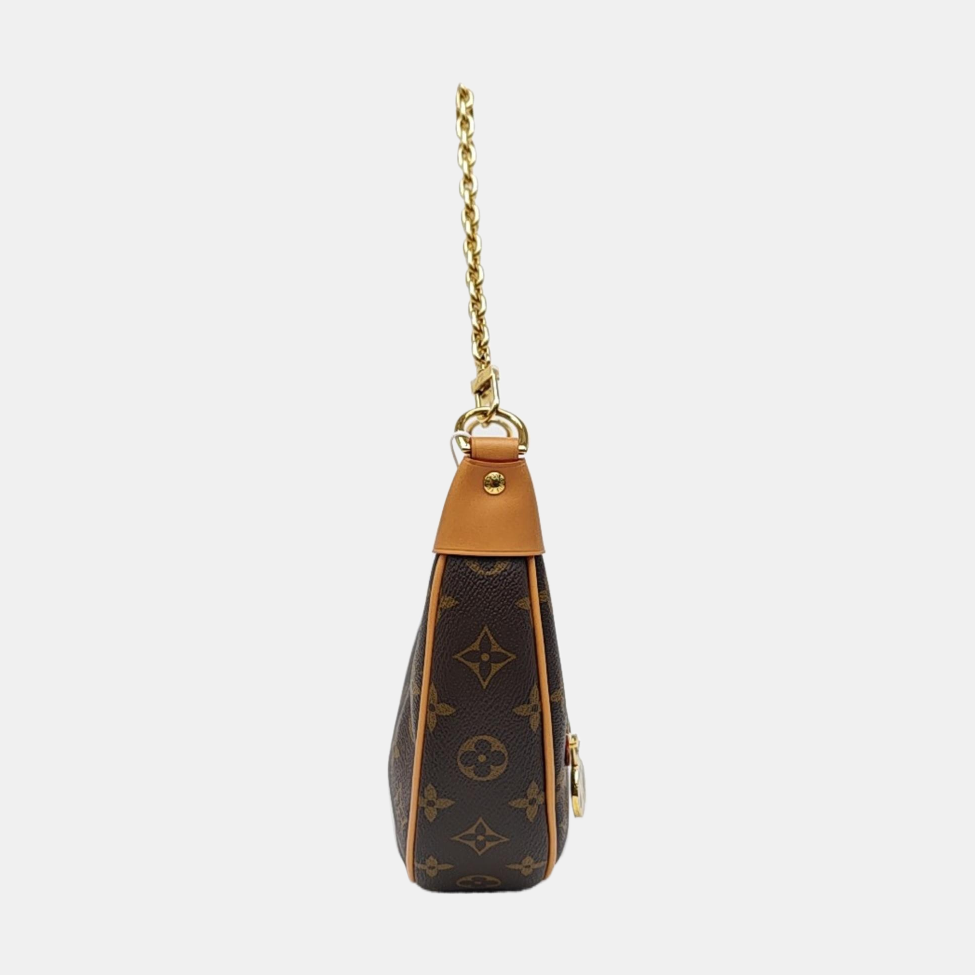 LOOP Monogram Coated Canvas Brown