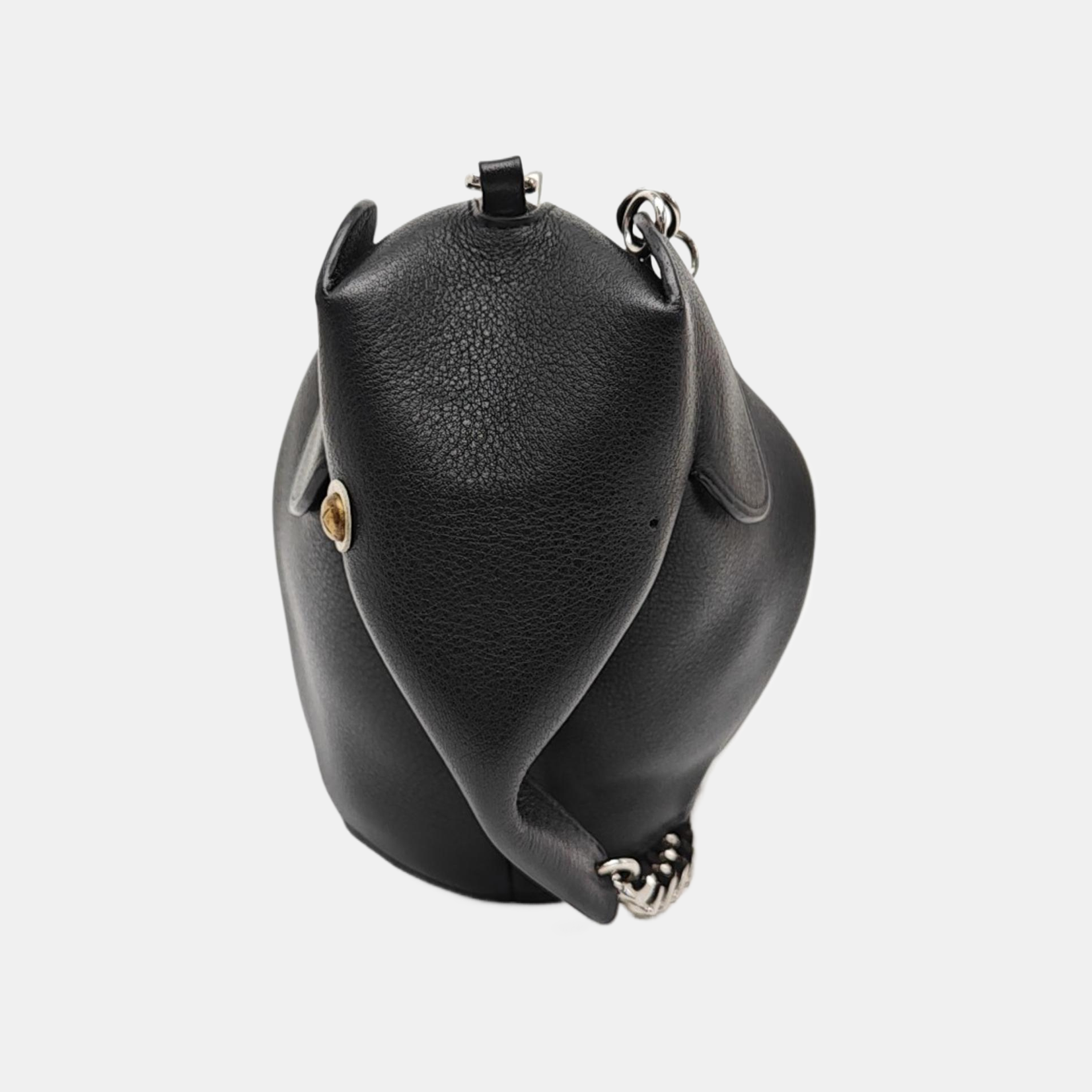 Animals Calfskin Black