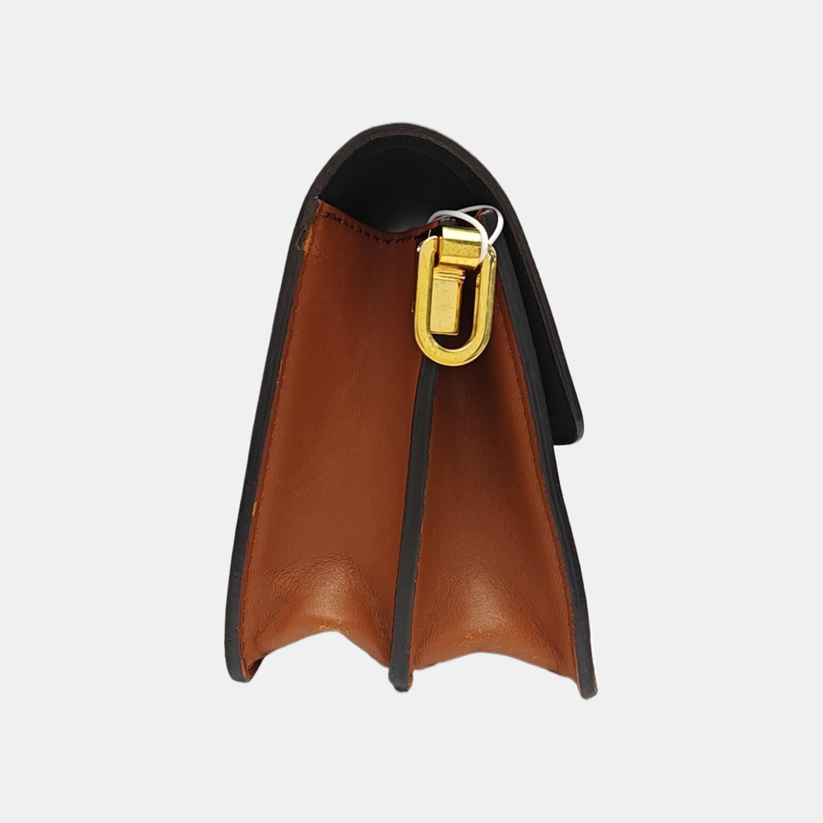 DAUPHINE Mini Monogram Coated Canvas Brown