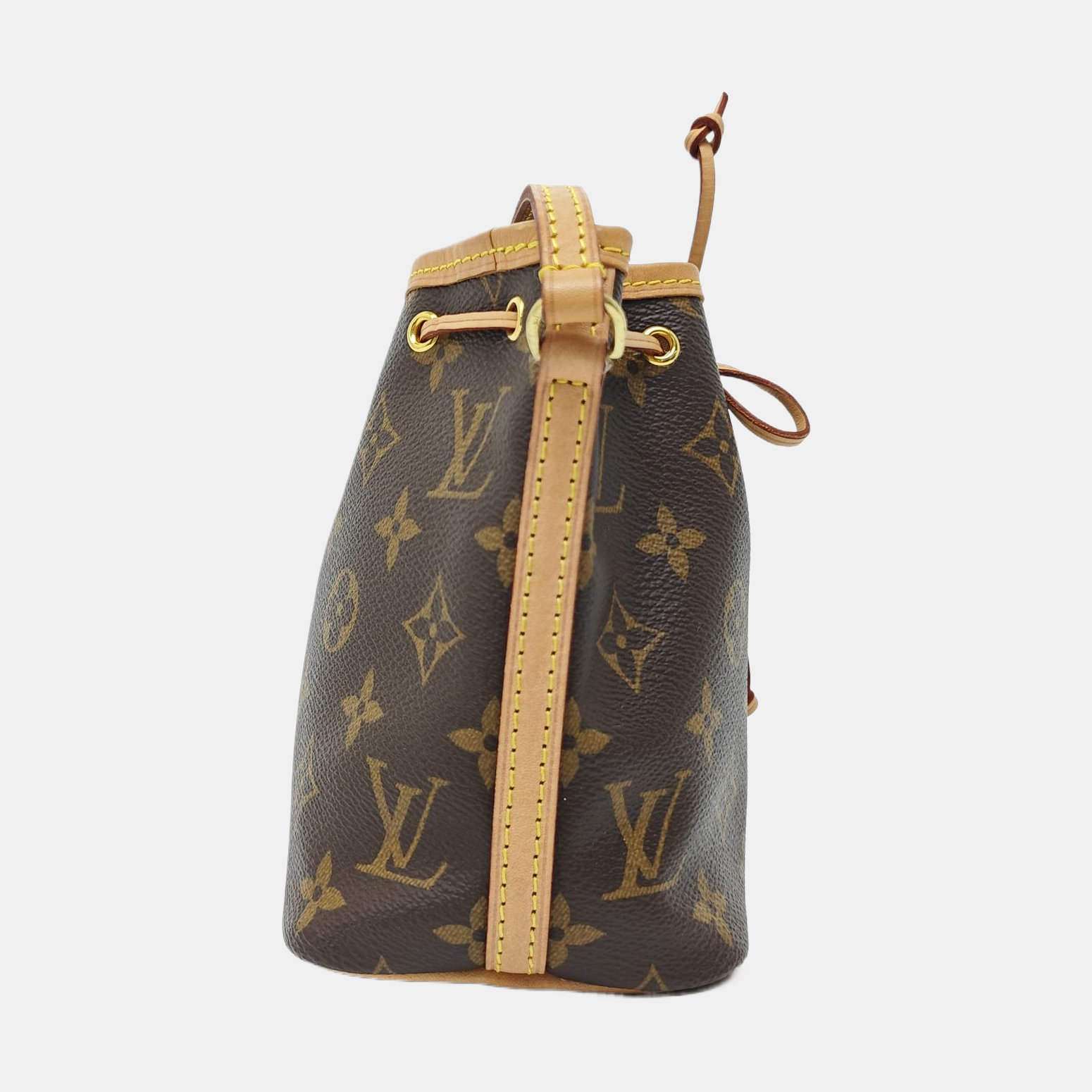 NÉONOÉ Nano Monogram Coated Canvas Brown