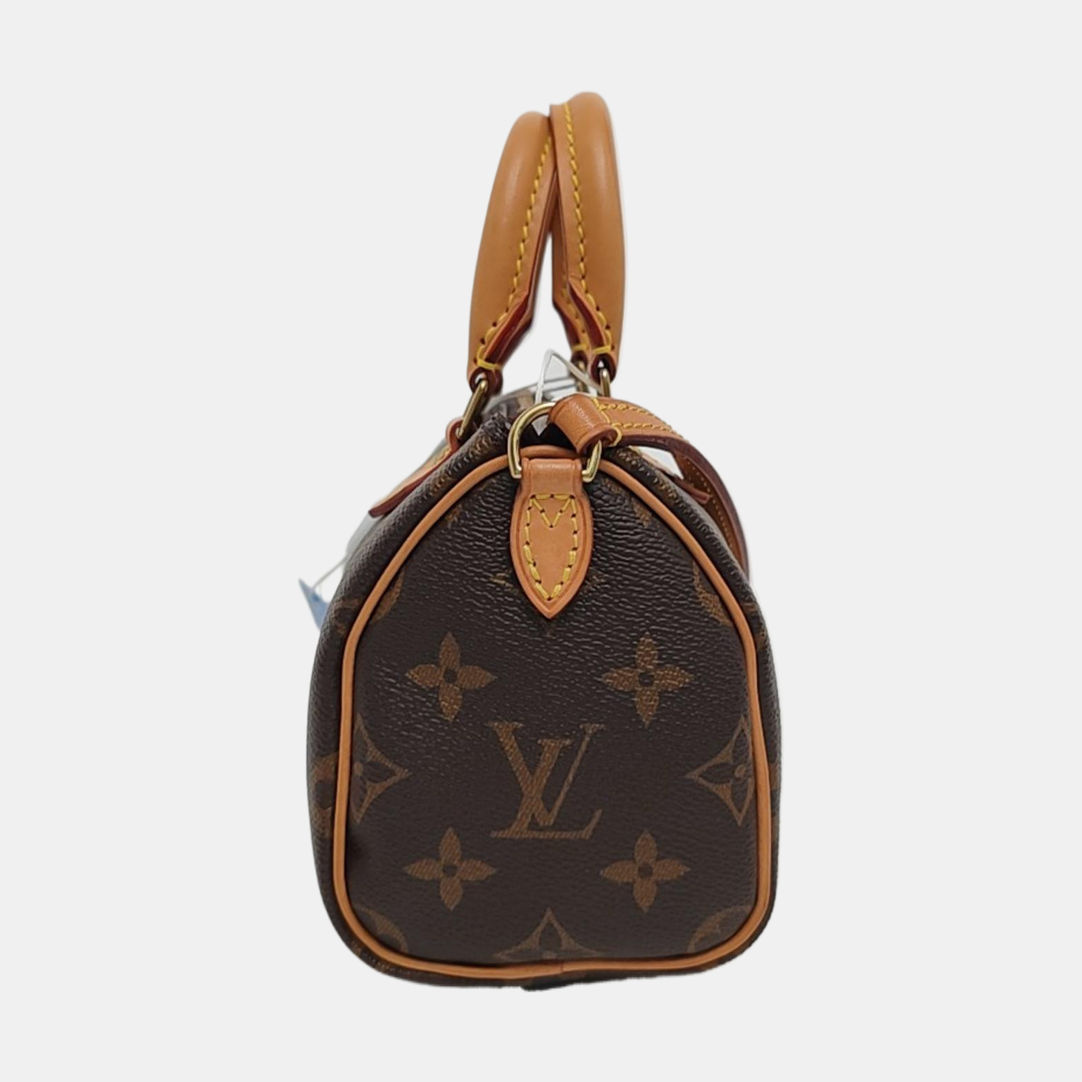 SPEEDY Nano Monogram Coated Canvas Brown
