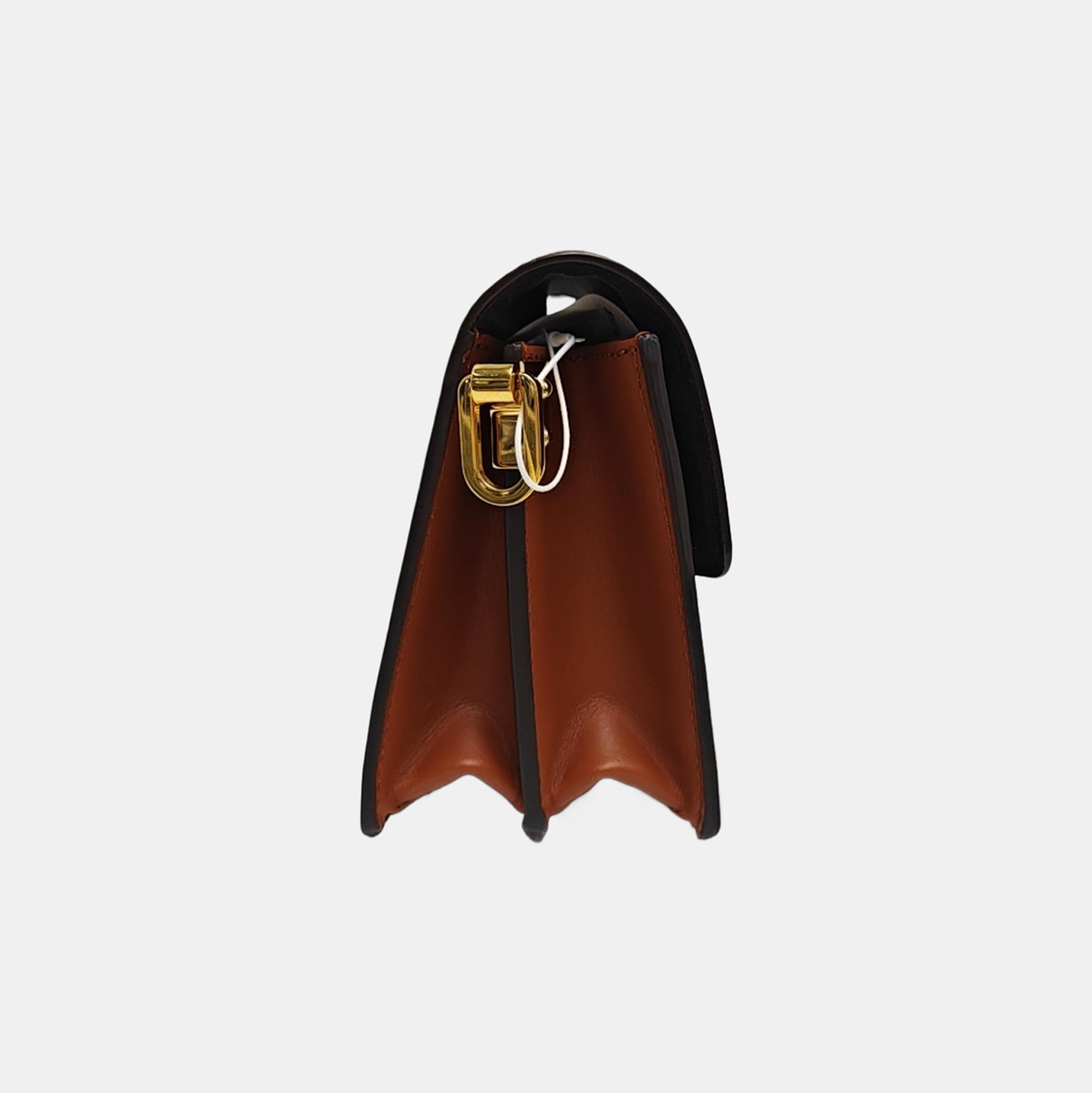 DAUPHINE Mini Monogram Coated Canvas Brown