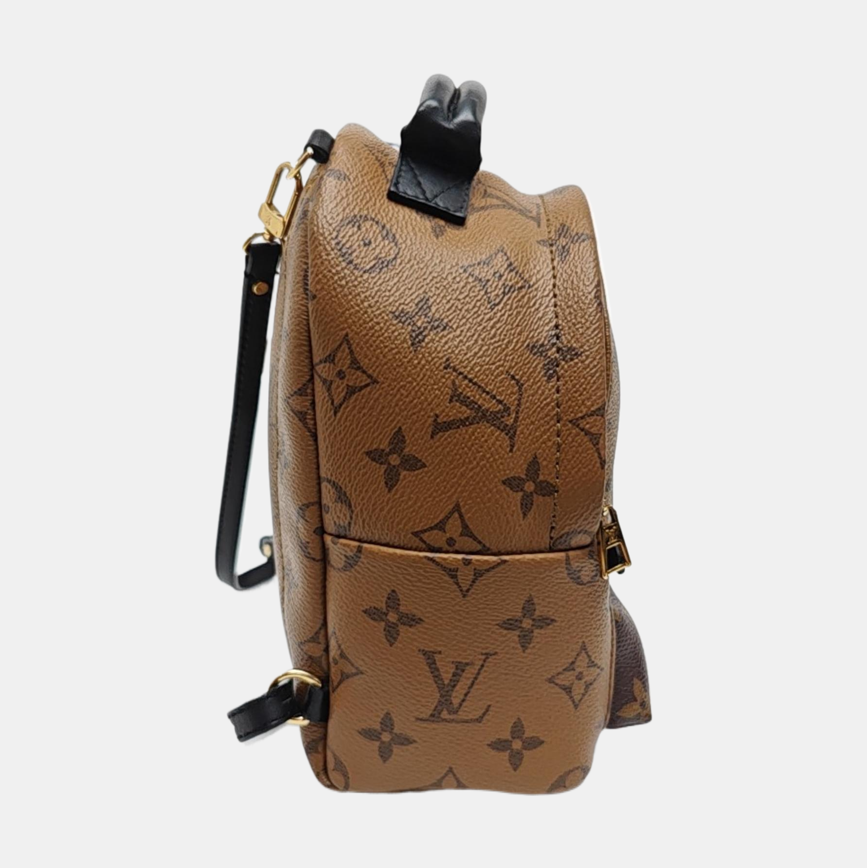 PALM SPRINGS Mini Monogram Coated Canvas Brown