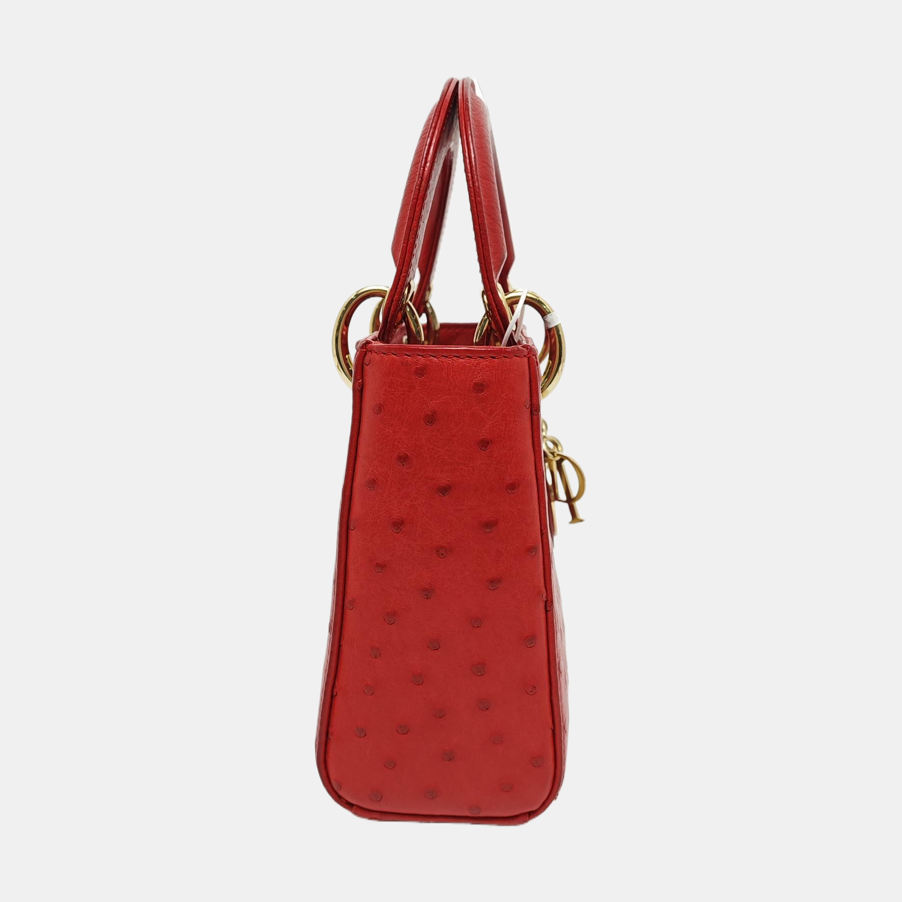 Lady Dior Mini Ostrich Red