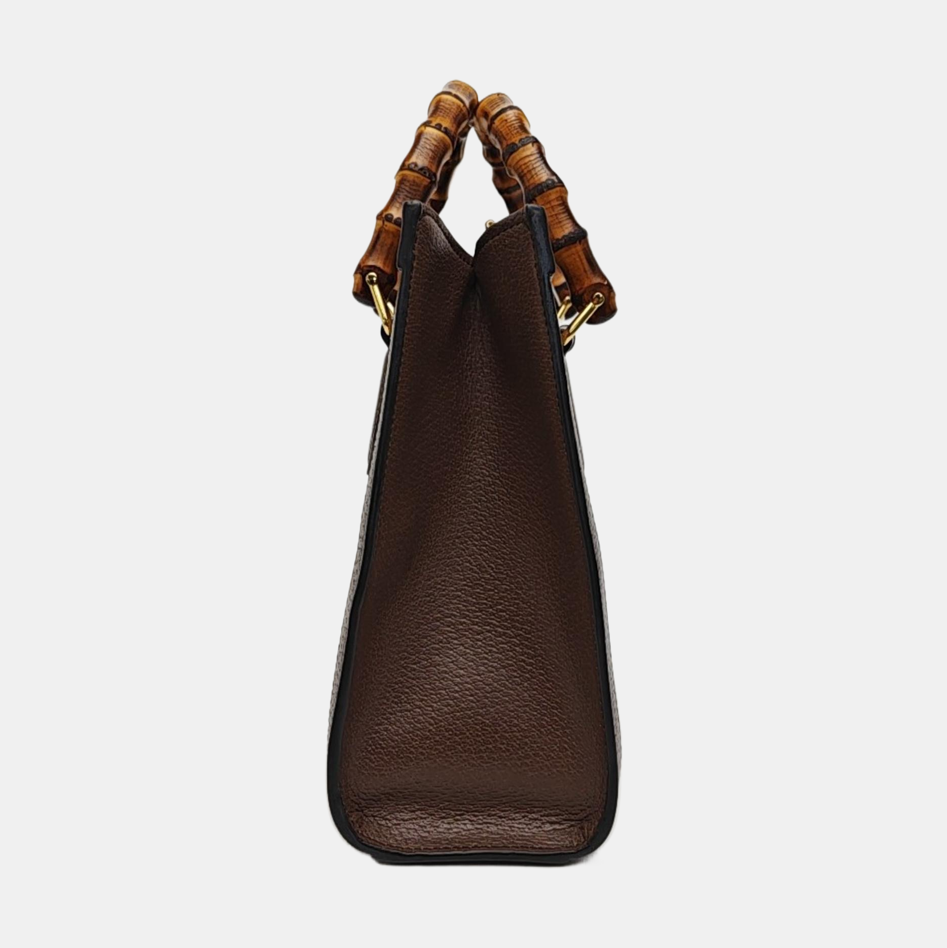 Diana Small Monogram Canvas Beige