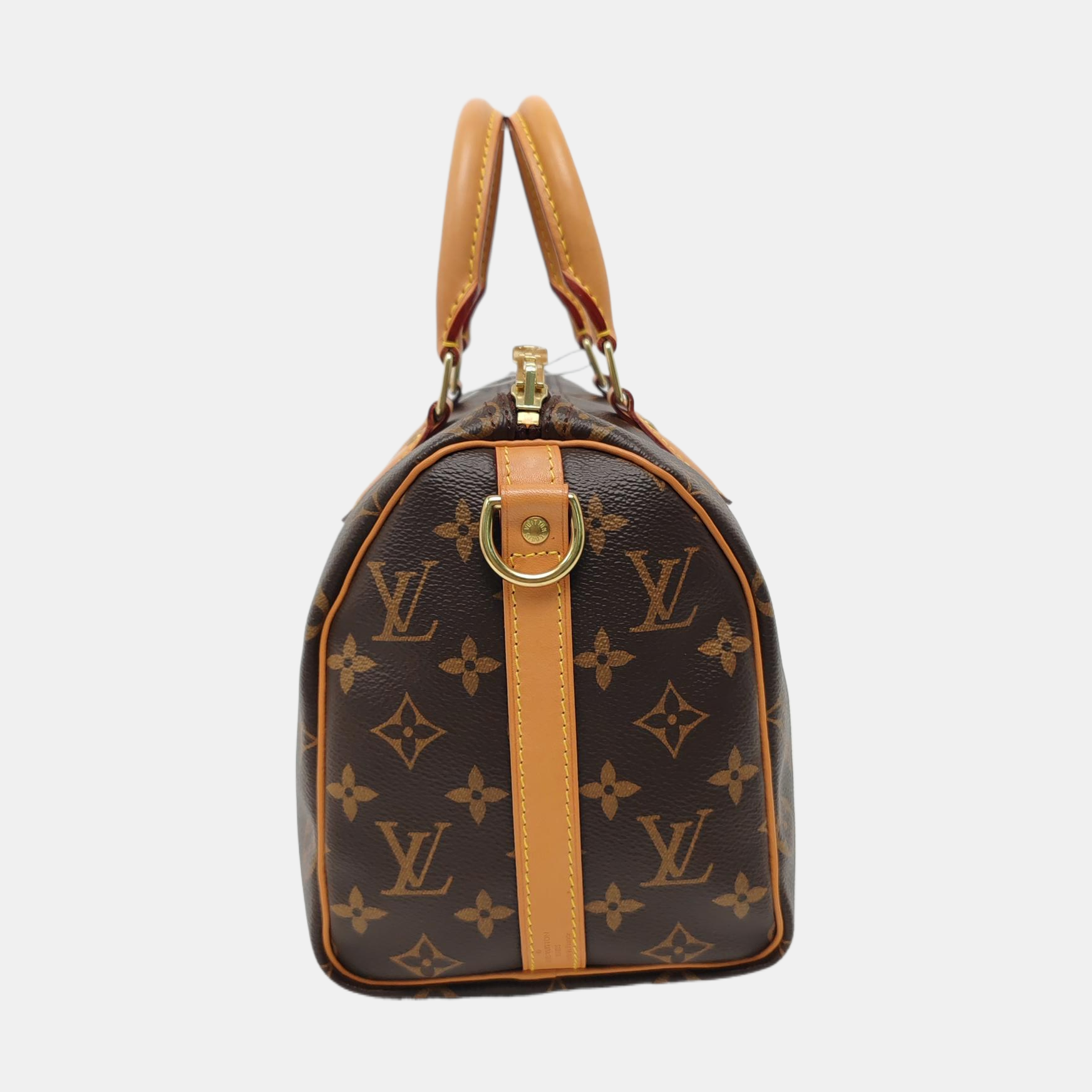 Speedy 25 Lona revestida Monogram marrón