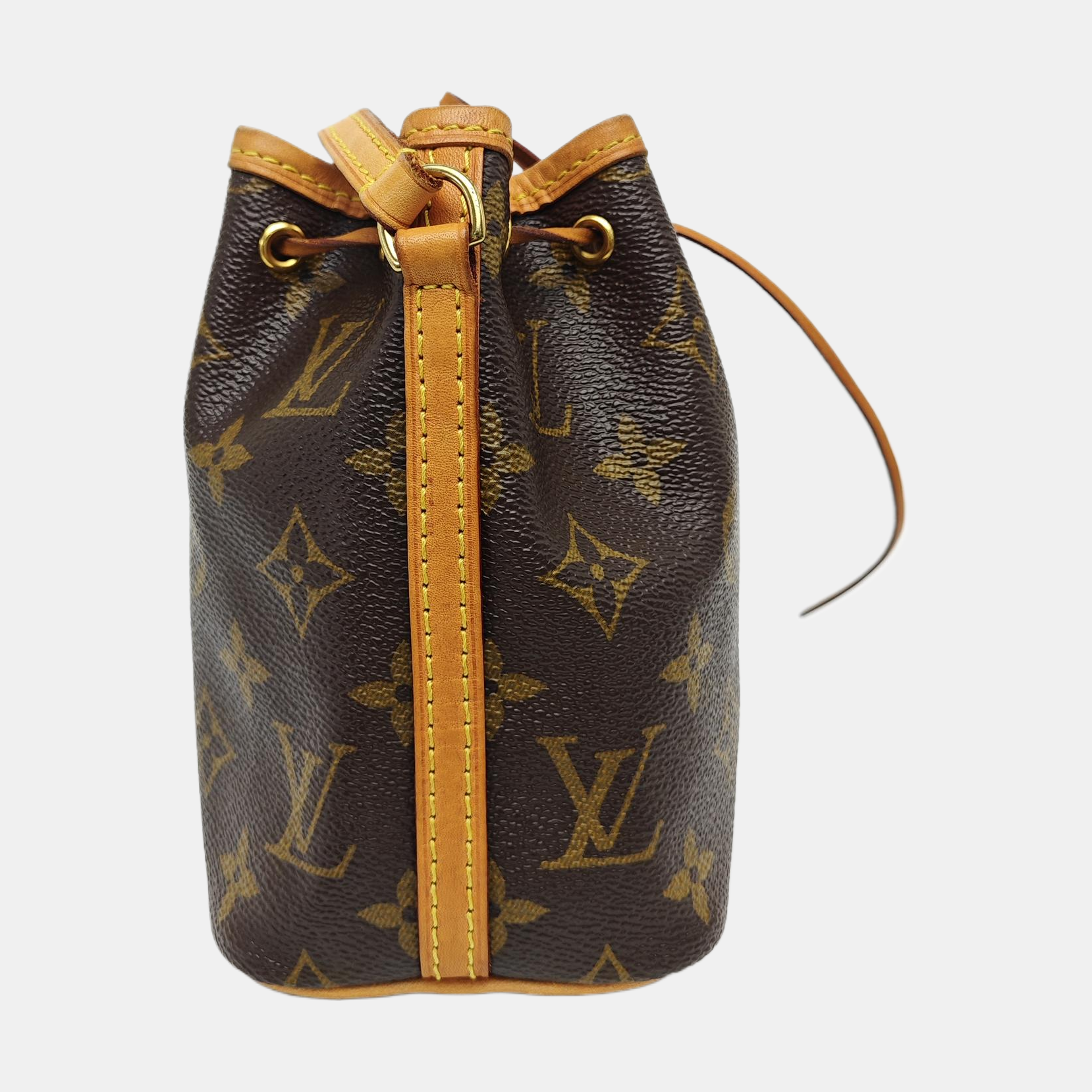 NÉONOÉ Nano Monogram Coated Canvas Brown
