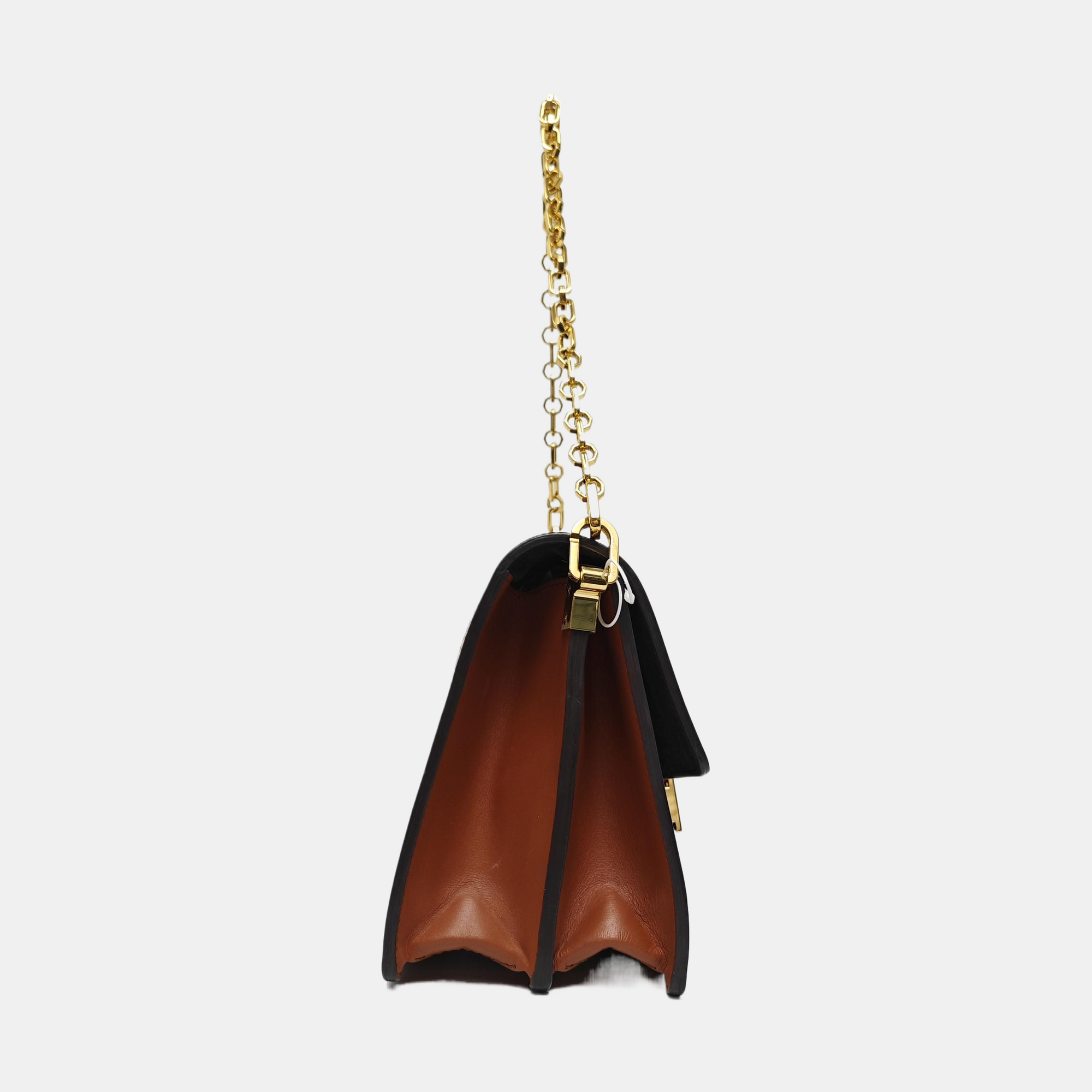 DAUPHINE MM Monogram Coated Canvas Brown