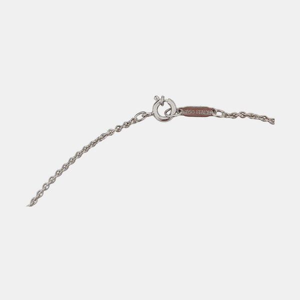 Atlas 18k White Gold Silver Necklace