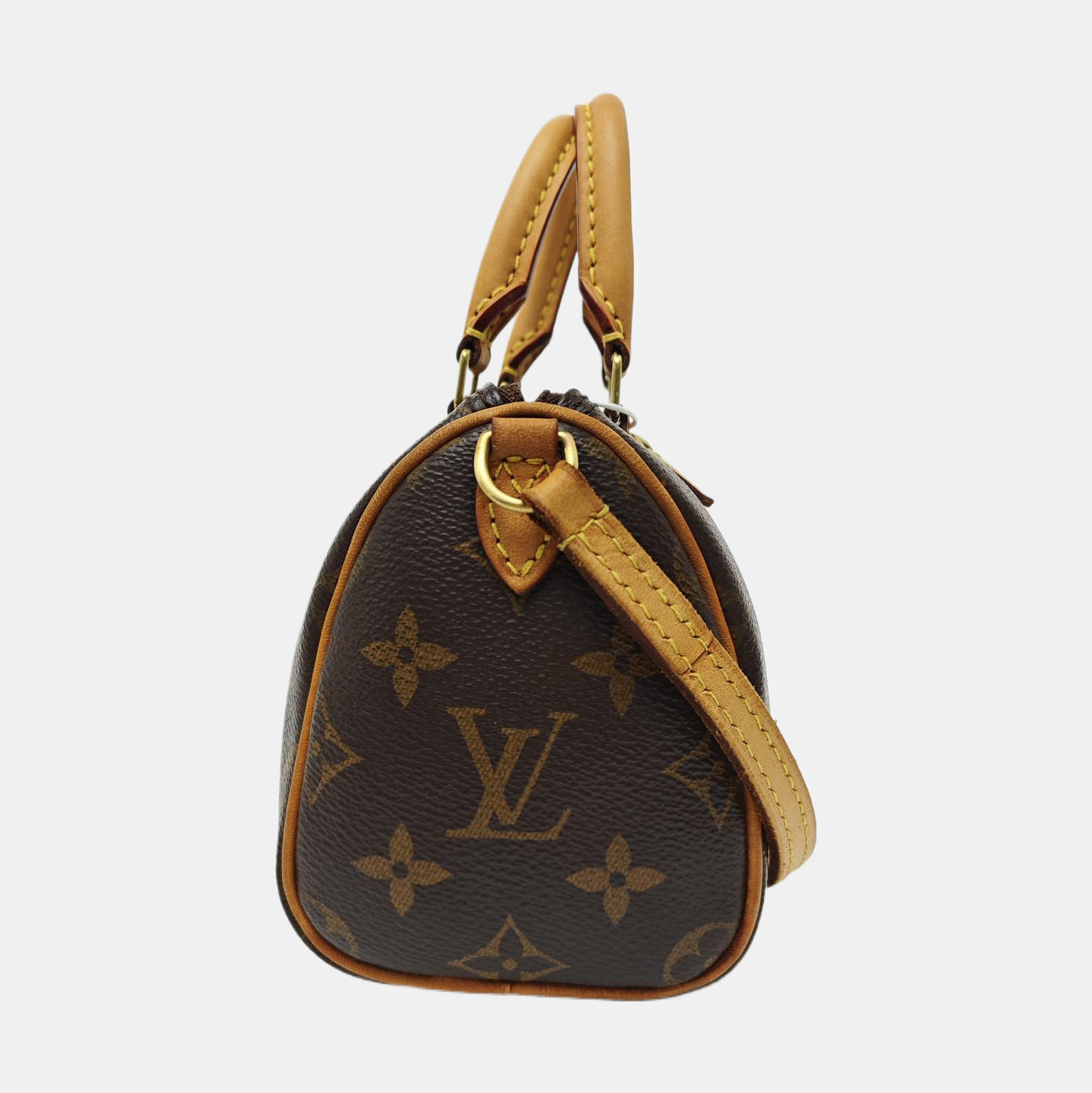 SPEEDY Nano Monogram Coated Canvas Brown