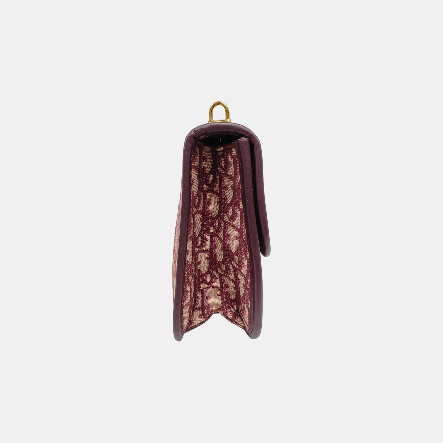 Dioraddict Oblique Canvas Red
