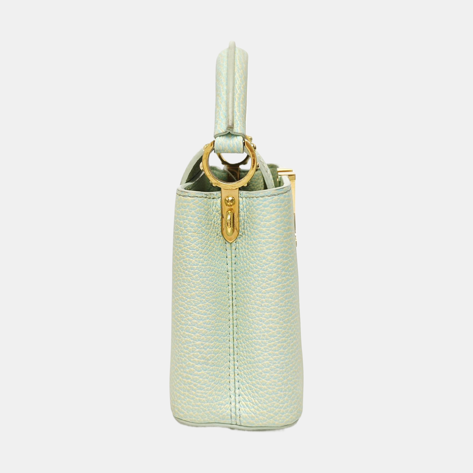 CAPUCINES Mini Calfskin Green
