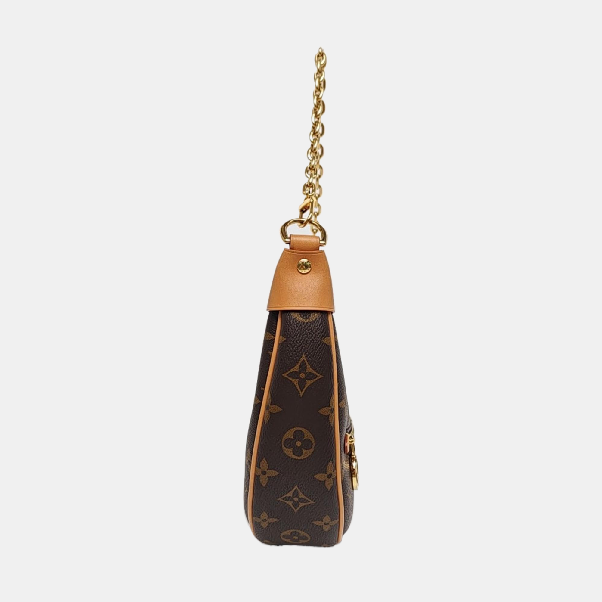 LOOP Monogram Coated Canvas Brown