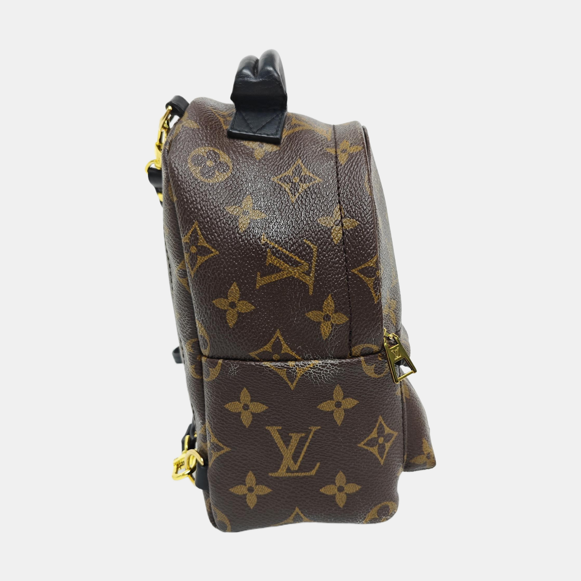 PALM SPRINGS Mini Monogram Coated Canvas Brown