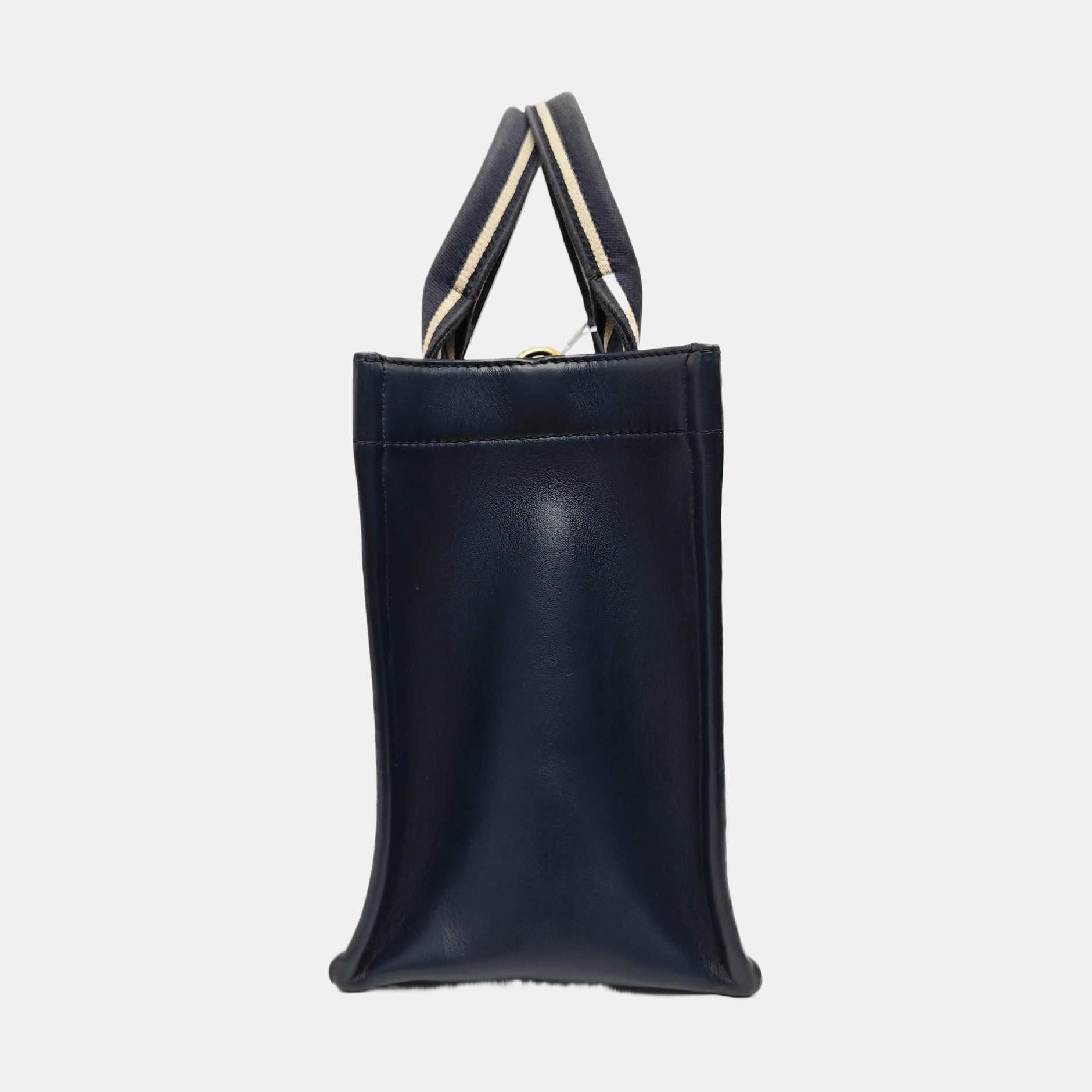 Book Tote Small Oblique Canvas Blue