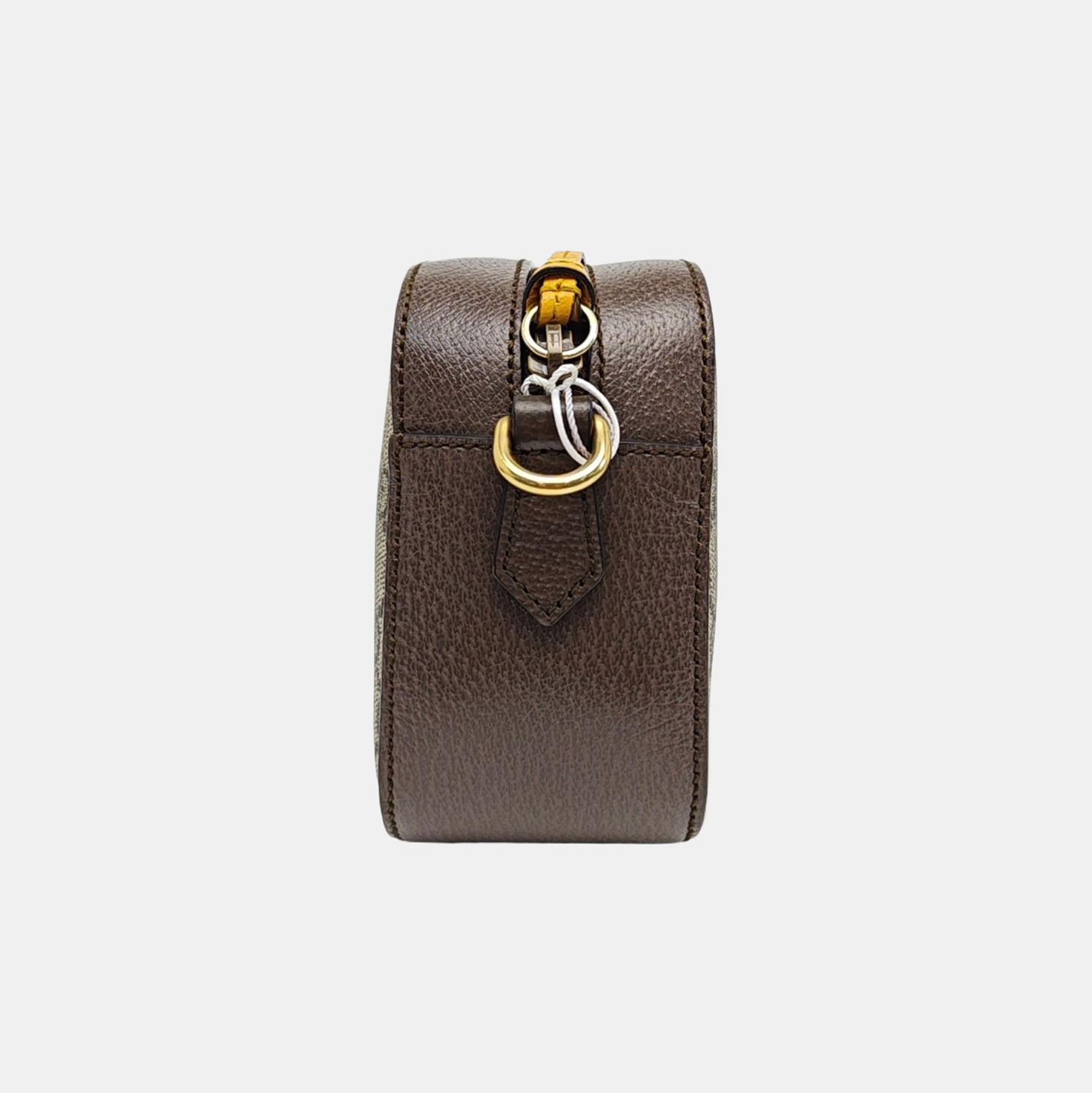 Neo Vintage Monogram Coated Canvas Beige