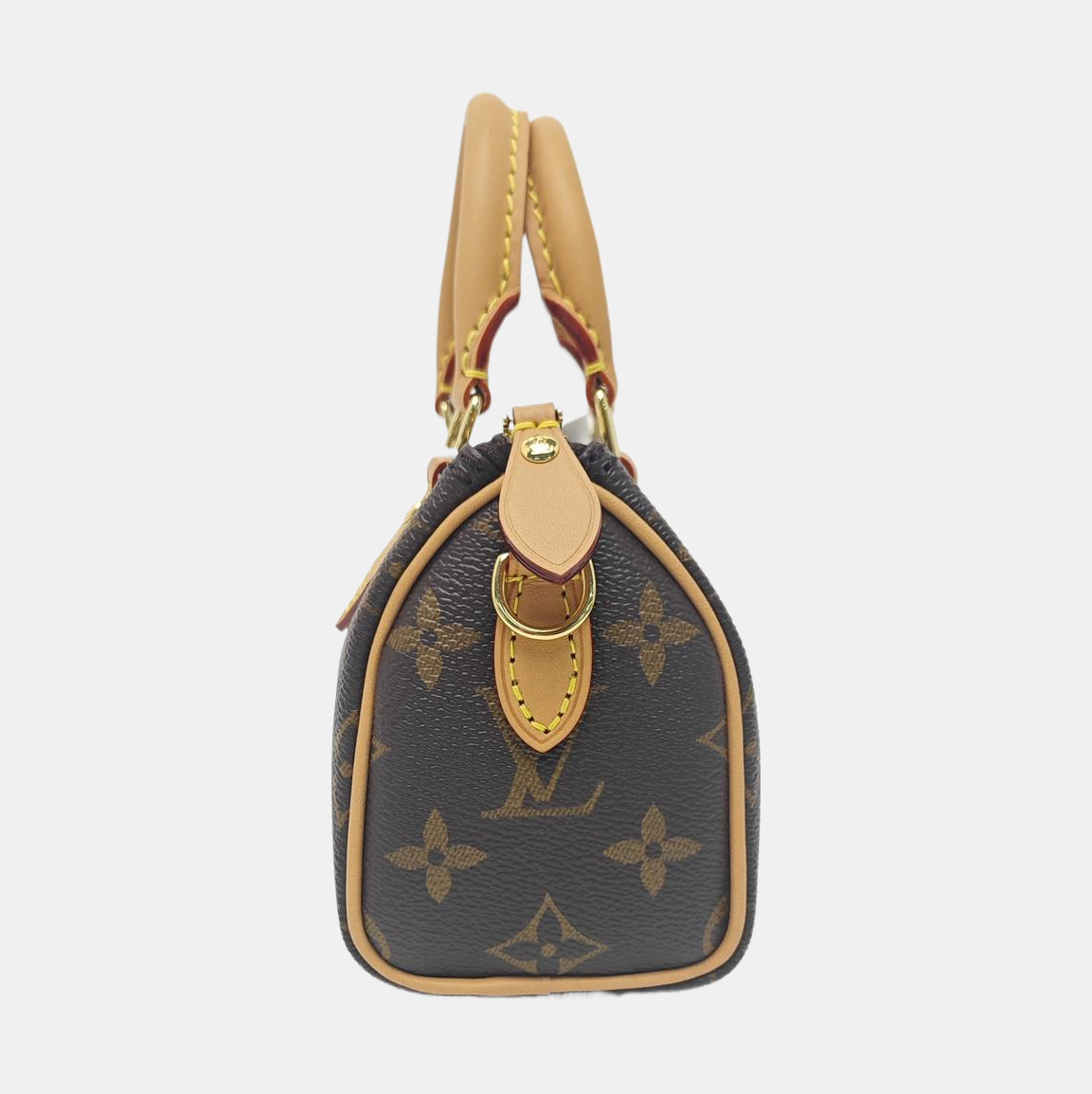 SPEEDY Nano Monogram Coated Canvas Brown