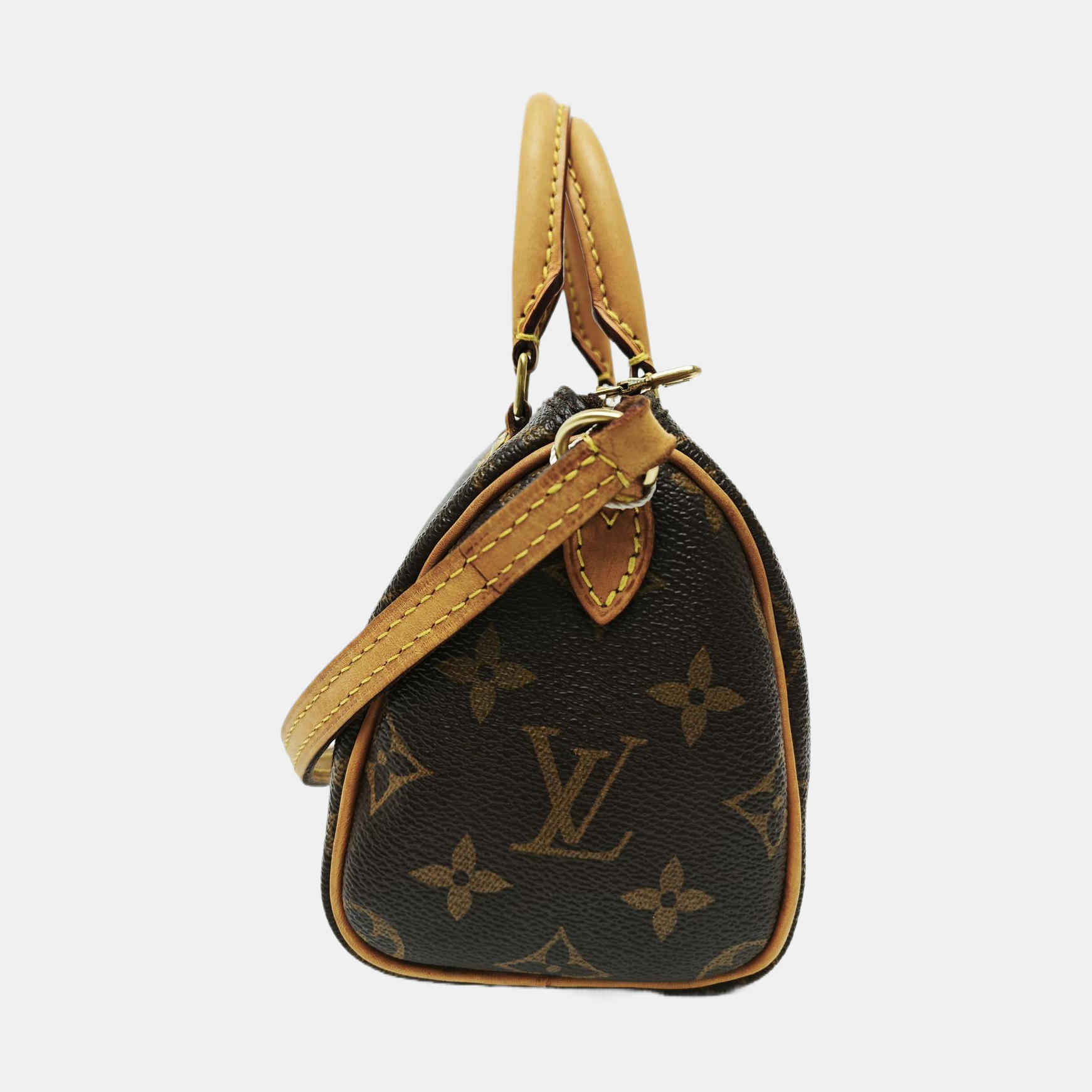 SPEEDY Nano Monogram Coated Canvas Brown
