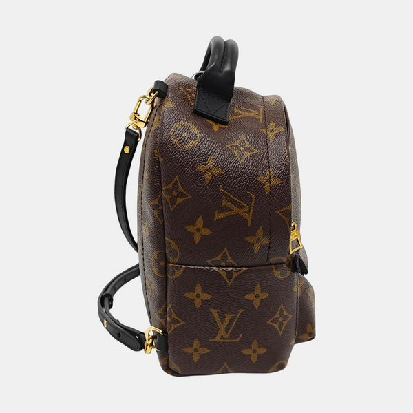 PALM SPRINGS Mini Monogram Coated Canvas Brown